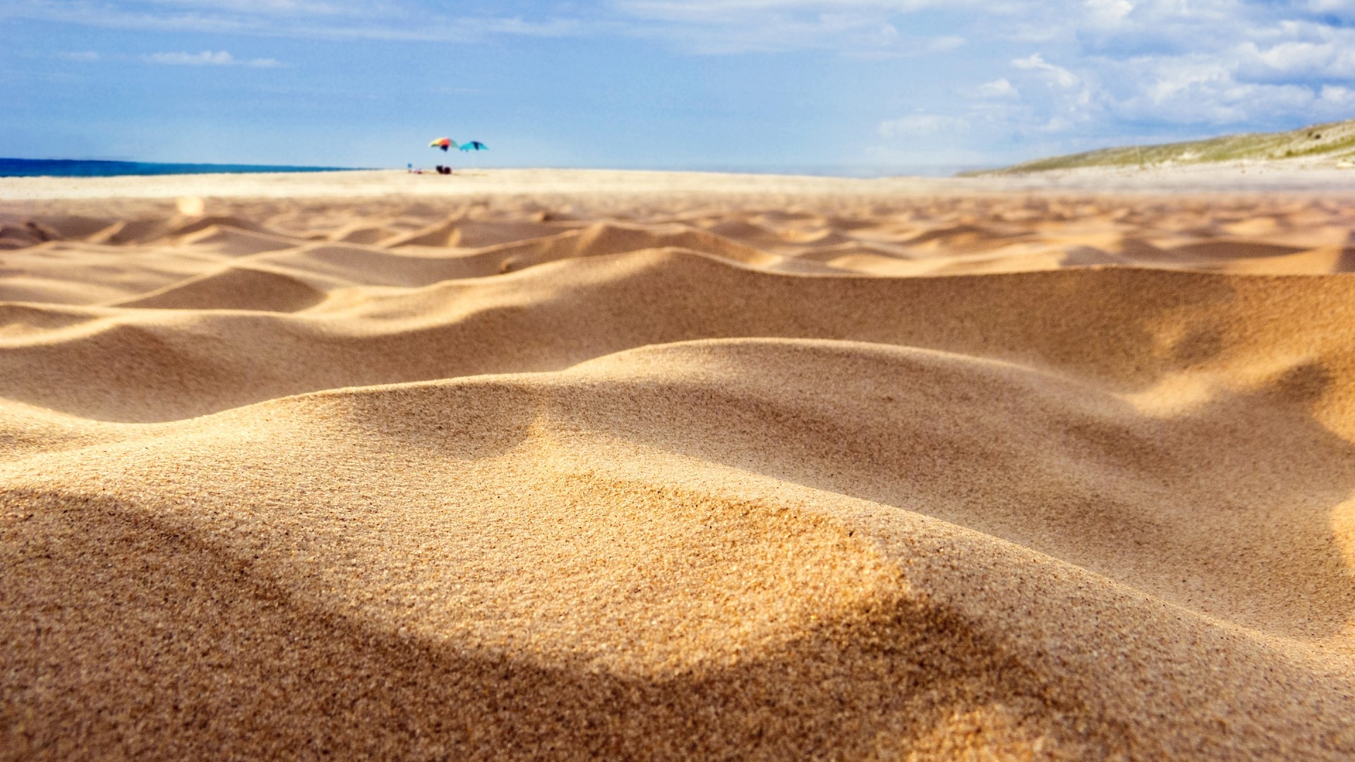 Sand dunes on a sunny day HD Wallpaper