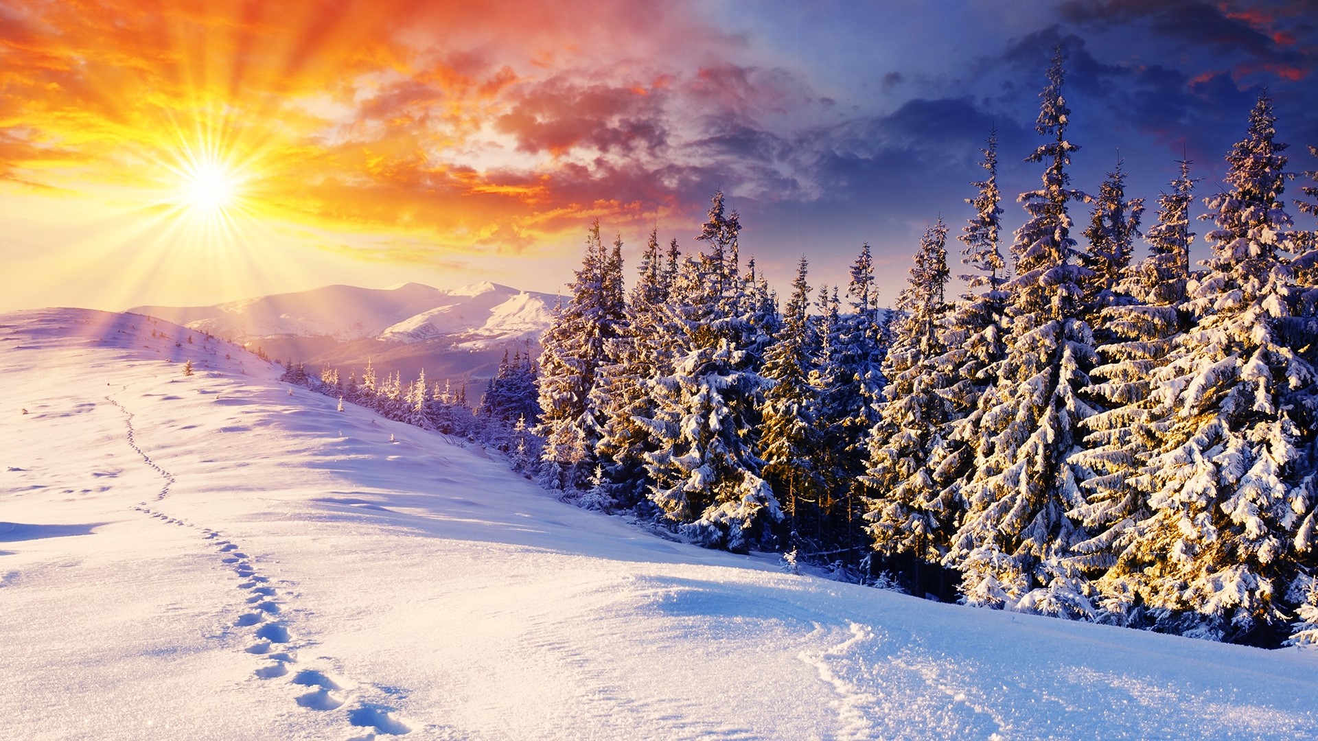Winter Sunrise over Snowy Mountains and Forest HD Wallpaper