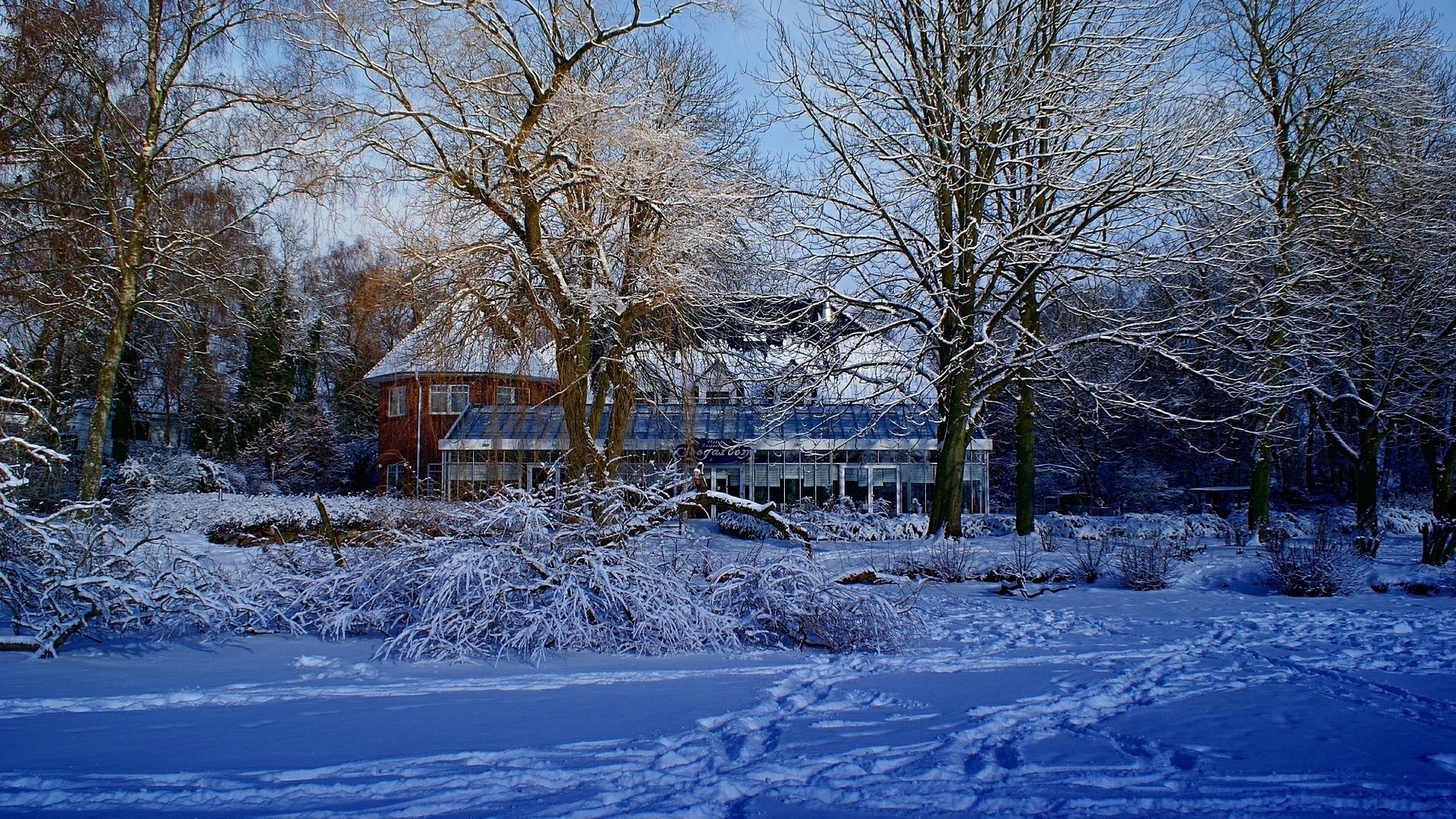 Winter house landscape with snow-covered trees HD Wallpaper