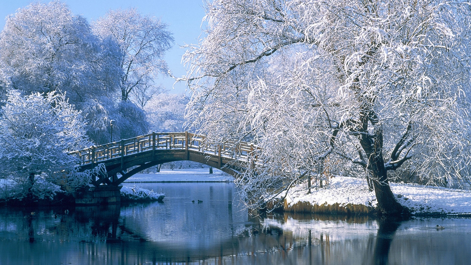 Wooden bridge over water in a snow-covered park HD Wallpaper