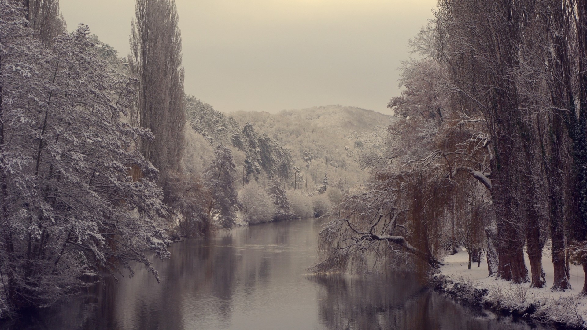 Winter Landscape with Snow-Covered Trees and River HD Wallpaper