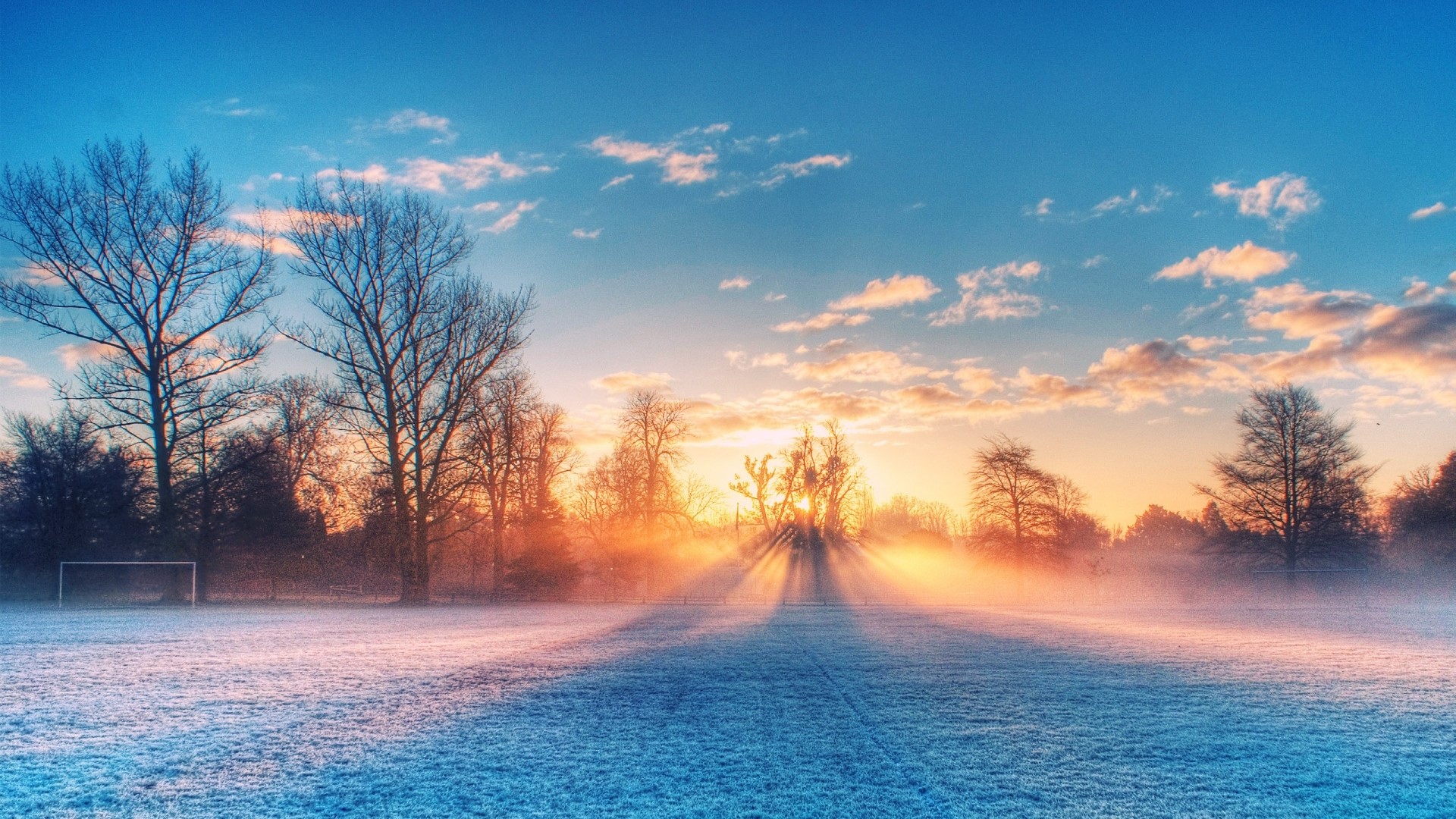 Sunrise over a frosty field with trees HD Wallpaper