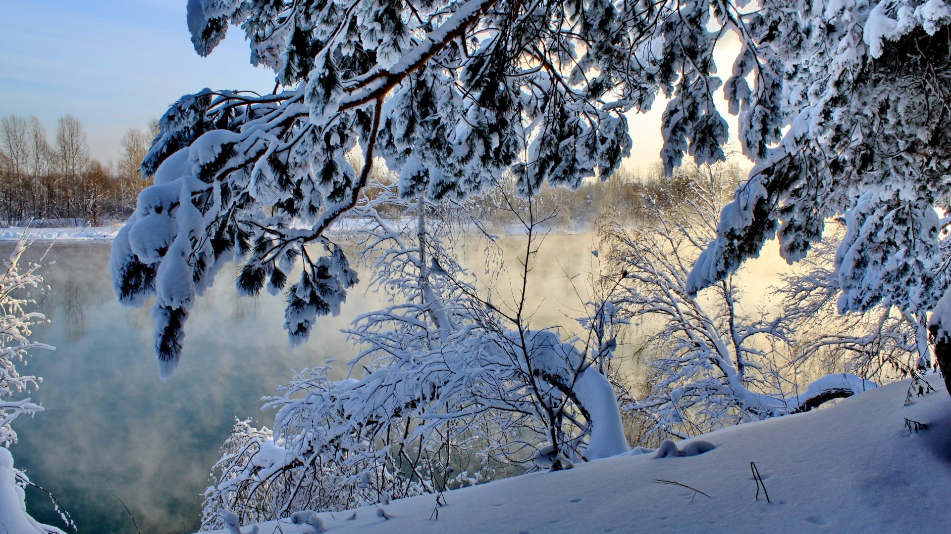 Winter lake with snow-covered trees and mist HD Wallpaper