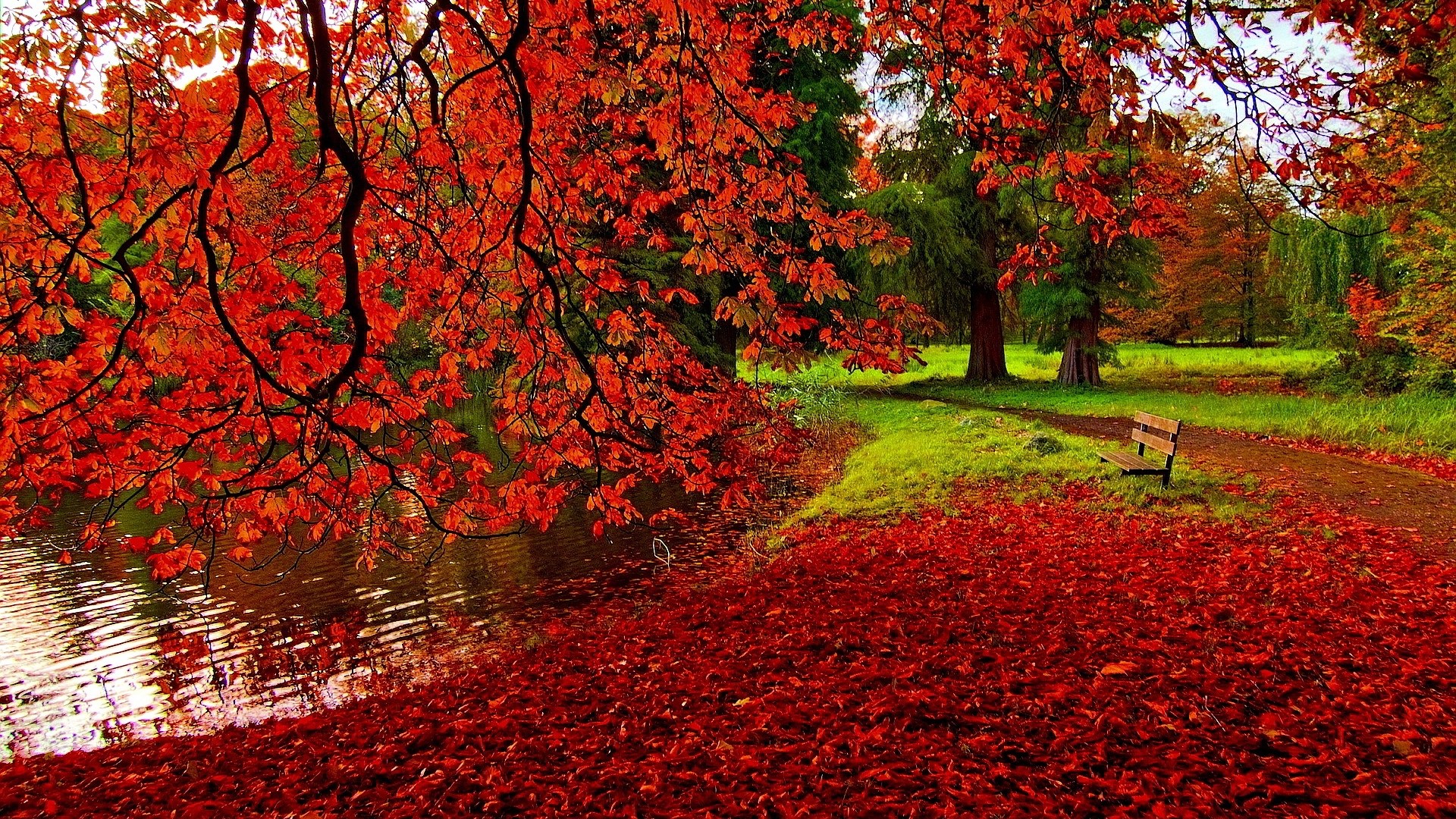 Autumn Garden with Red Leaves and Bench HD Wallpaper