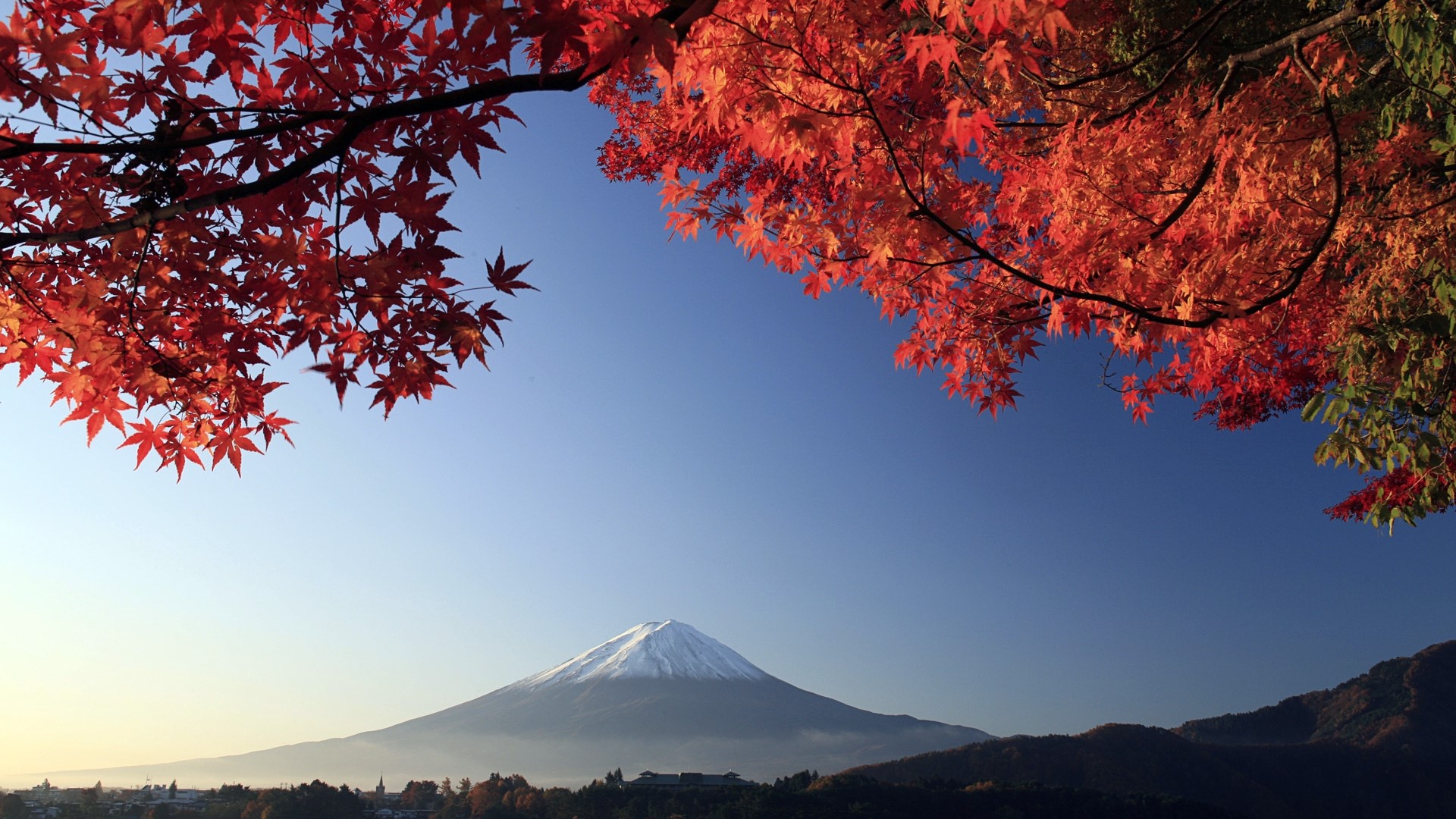 Mount Fuji in Autumn with Maple Leaves HD Wallpaper