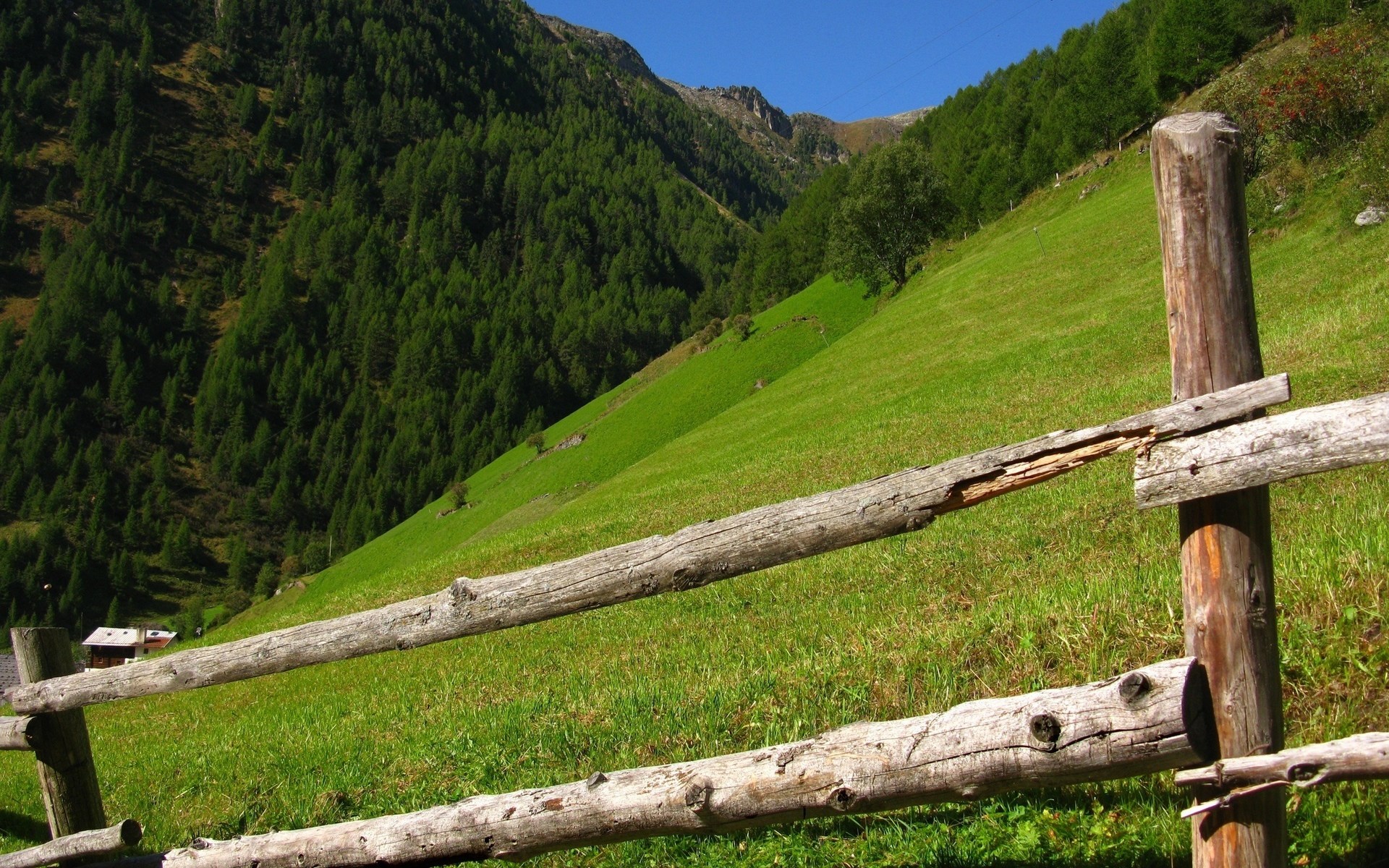 Wooden fence on a grassy mountain slope HD Wallpaper