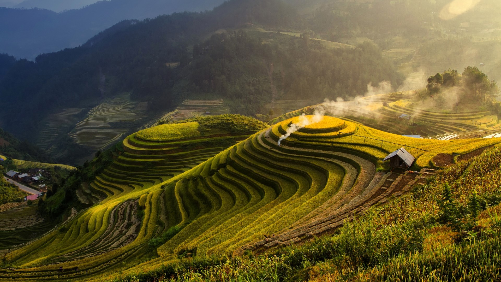 Terraced Rice Fields in Vietnam HD Wallpaper