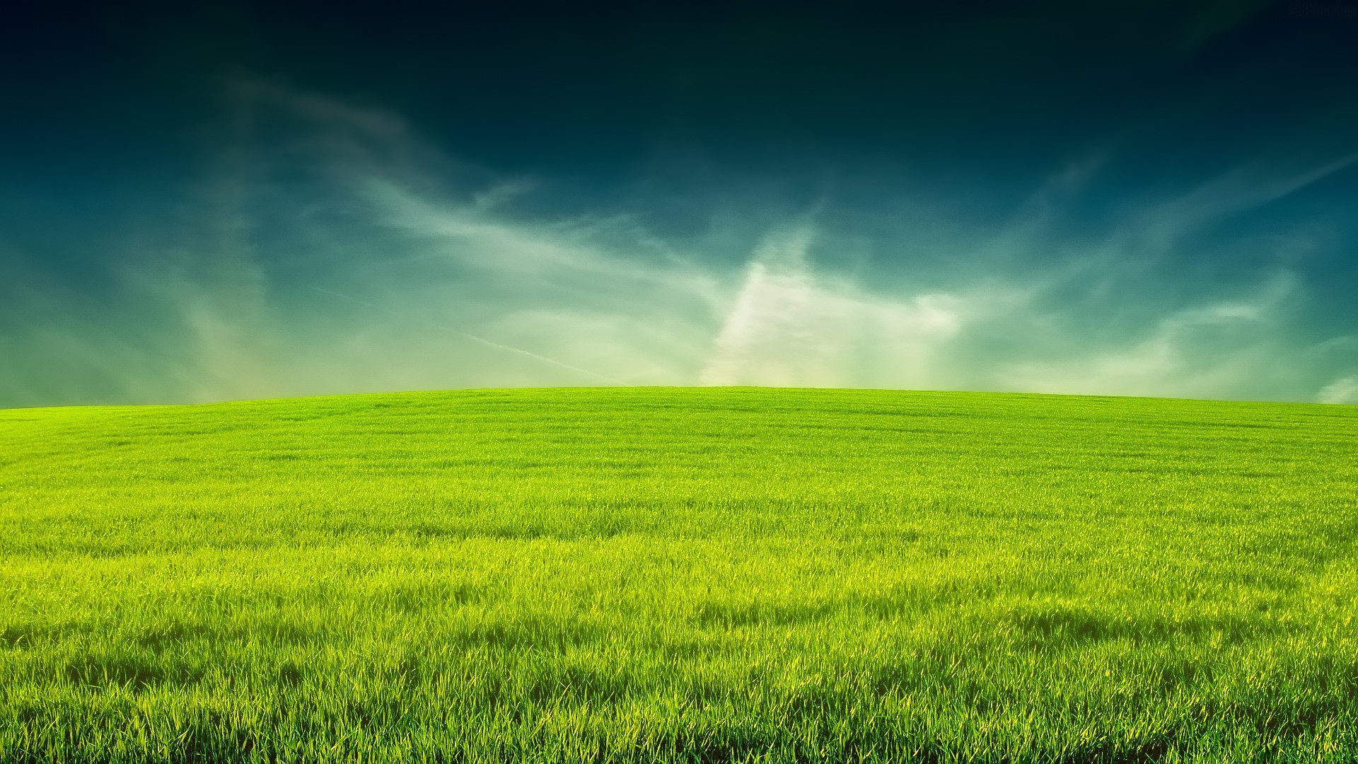 Green grass field under a blue sky HD Wallpaper