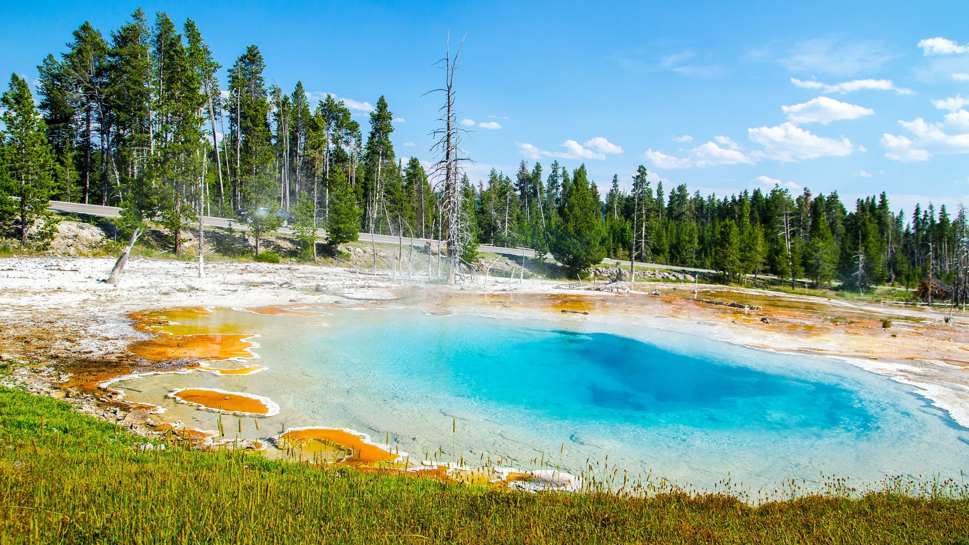 Hot Spring Pool in Yellowstone National Park HD Wallpaper