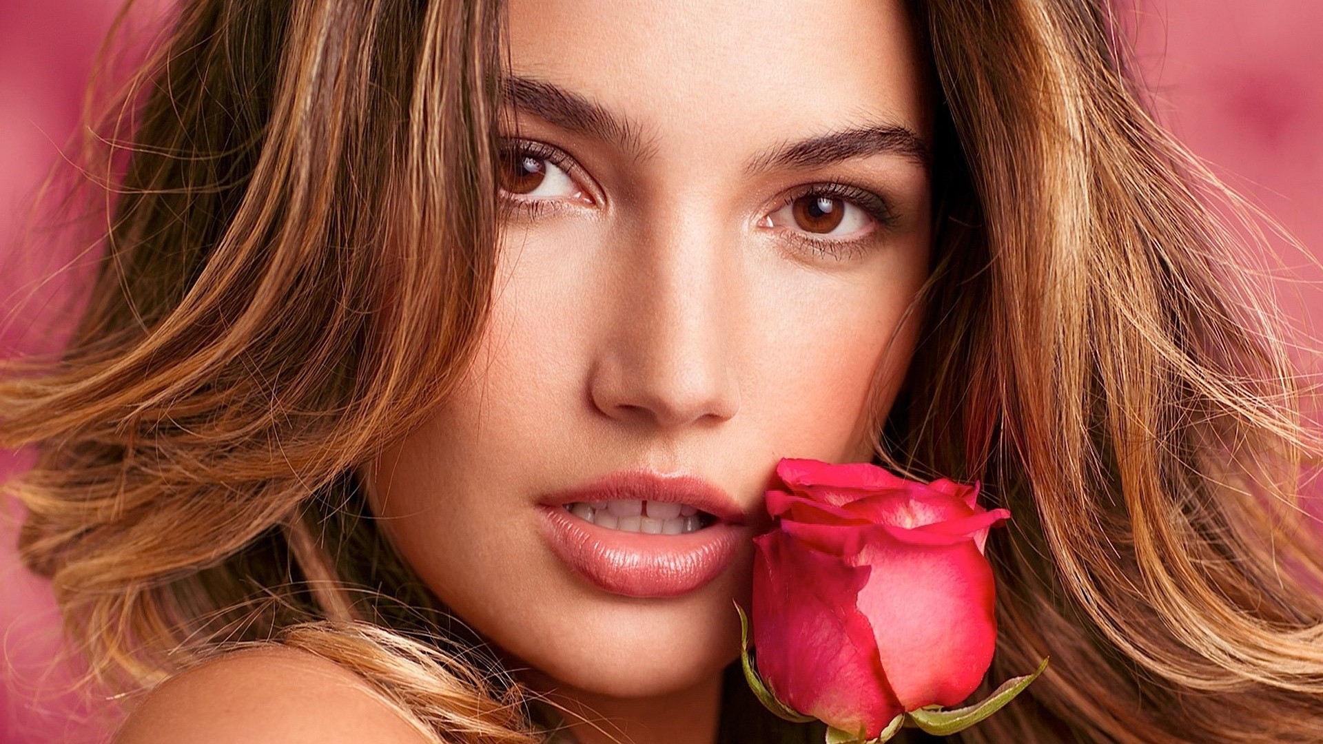 Lily Aldridge with a rose HD Wallpaper