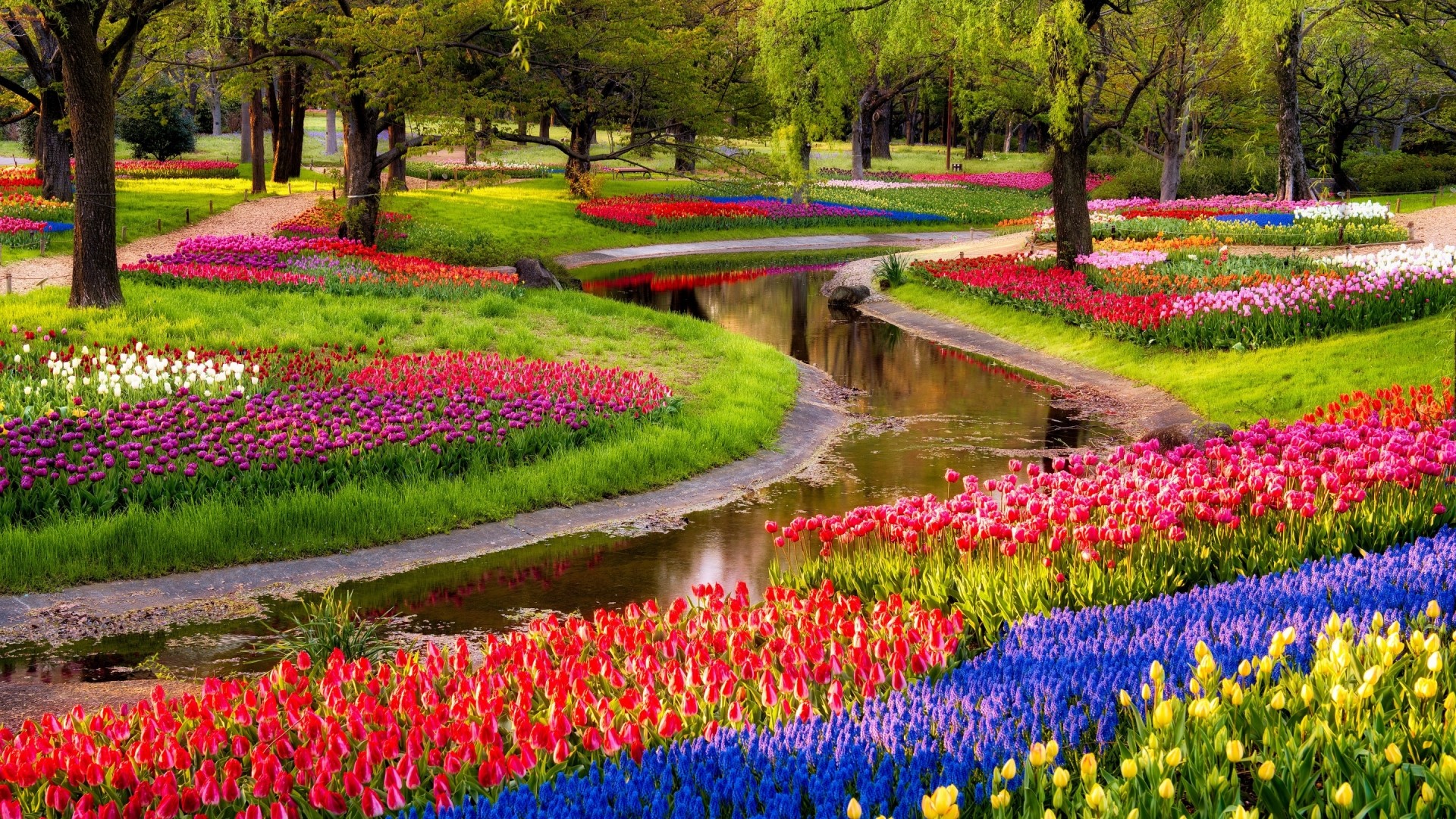A beautiful flower garden with a stream HD Wallpaper