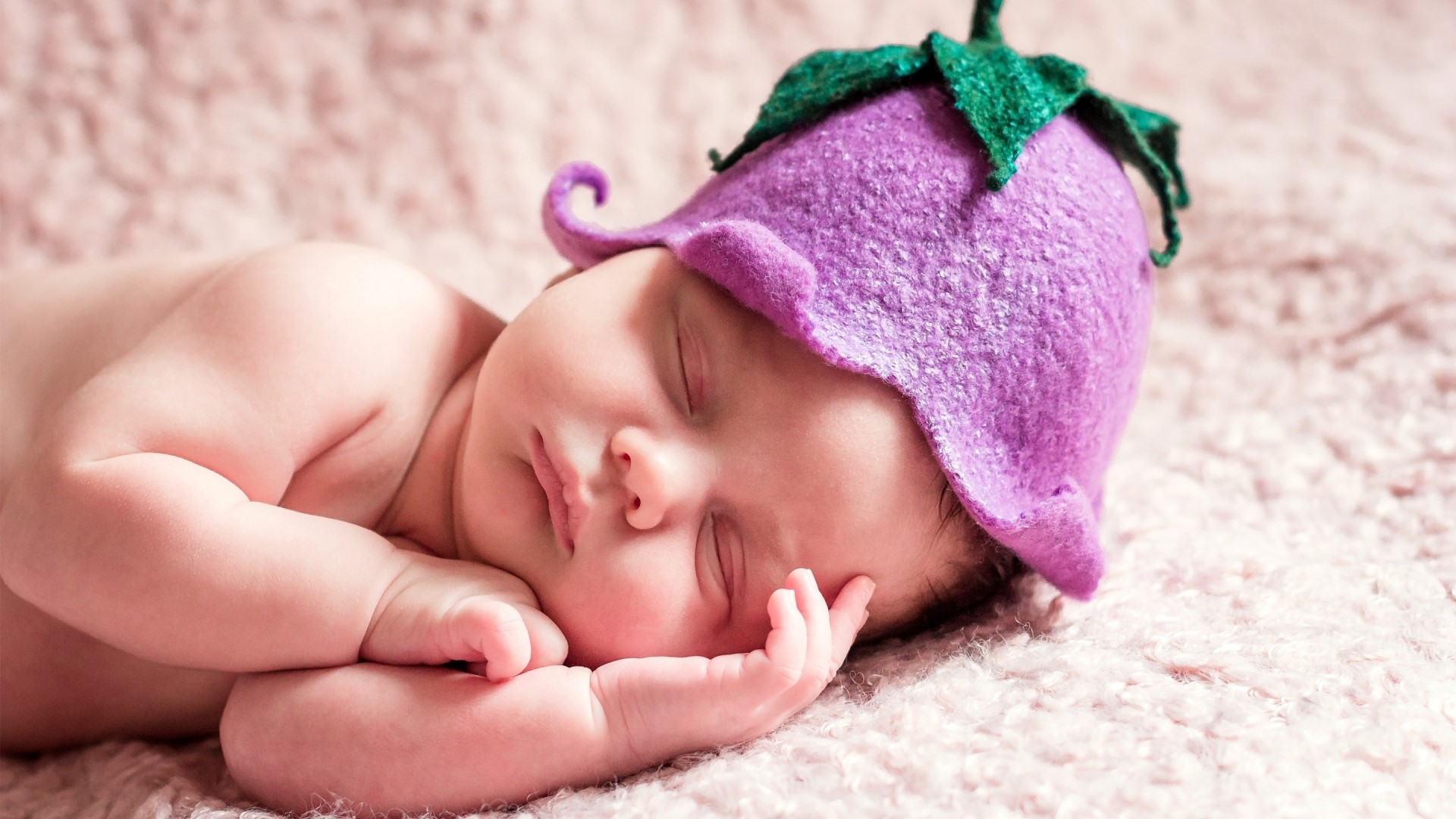 Cute Newborn Baby Sleeping in Flower Hat HD Wallpaper