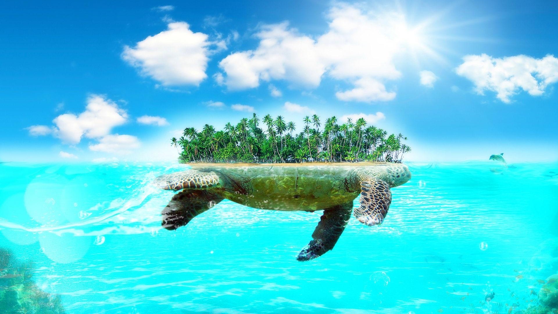 Fantasy Island Turtle in Tropical Ocean HD Wallpaper