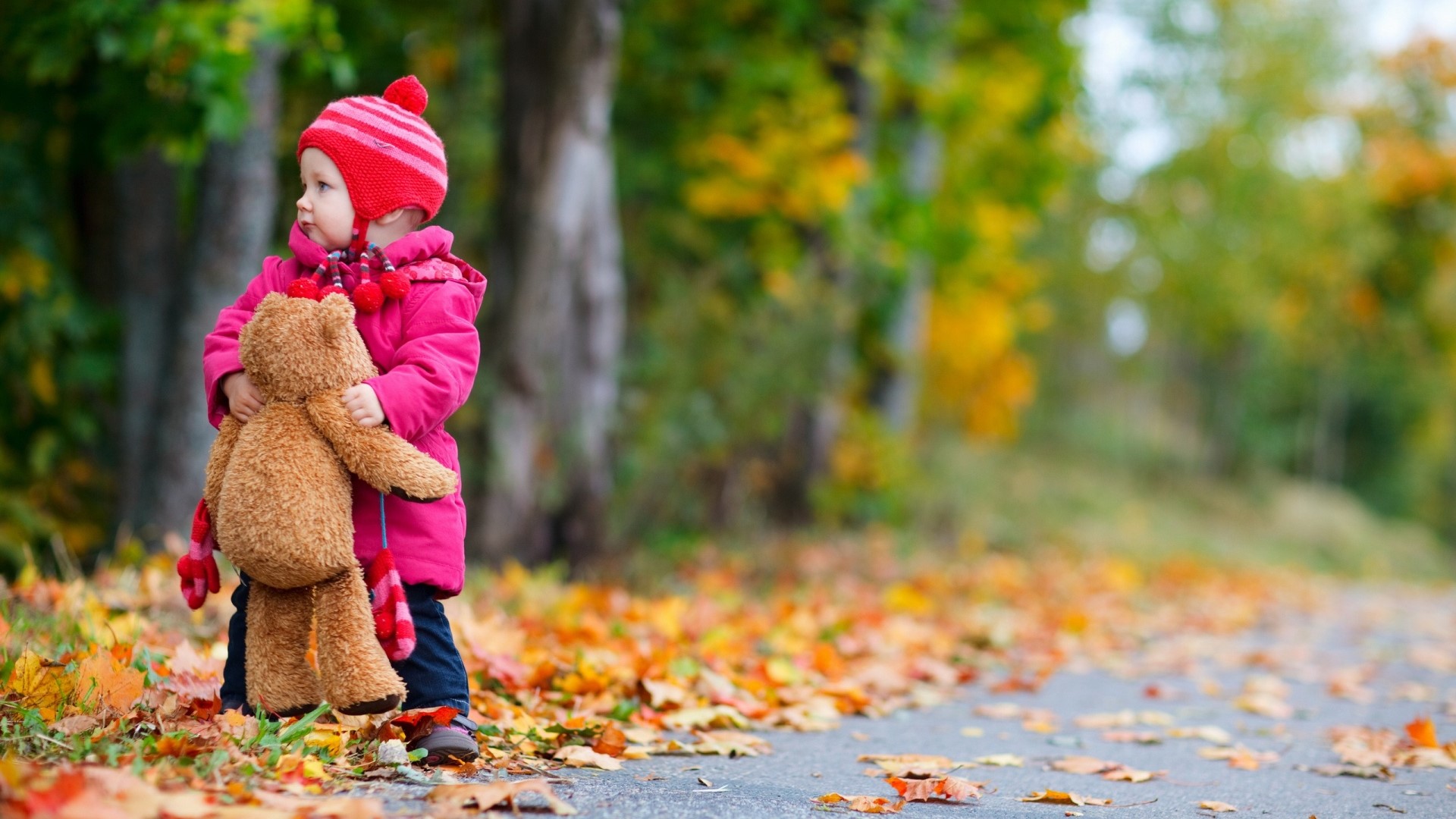 Little Girl Holding Teddy Bear in Autumn HD Wallpaper