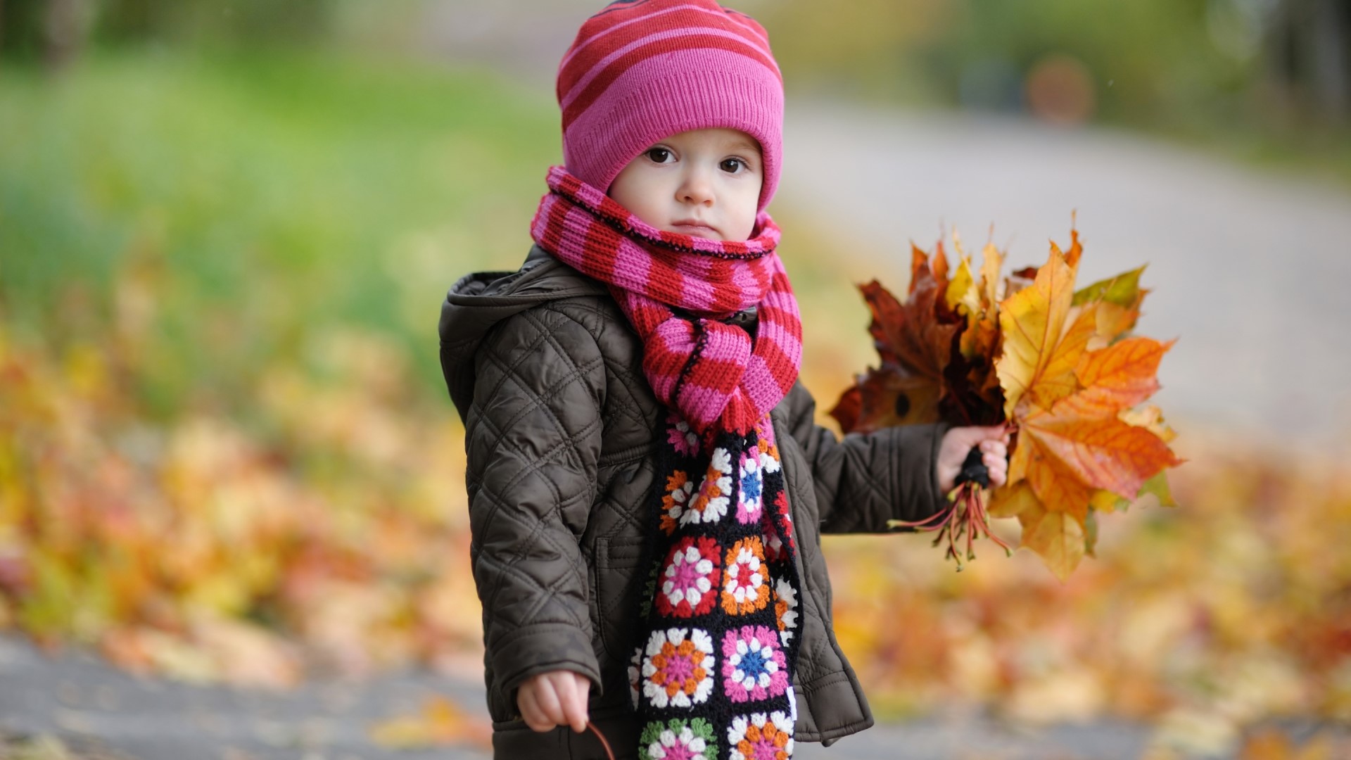 Cute baby in autumn with leaves HD Wallpaper