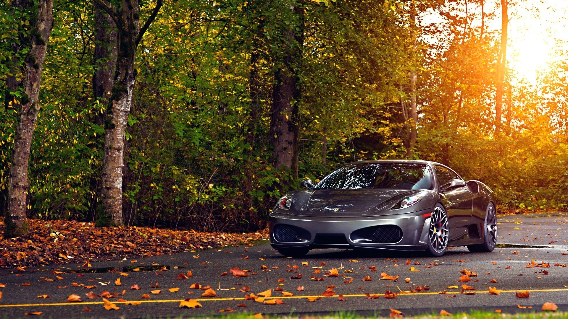 Black Ferrari sport car in autumn forest HD Wallpaper