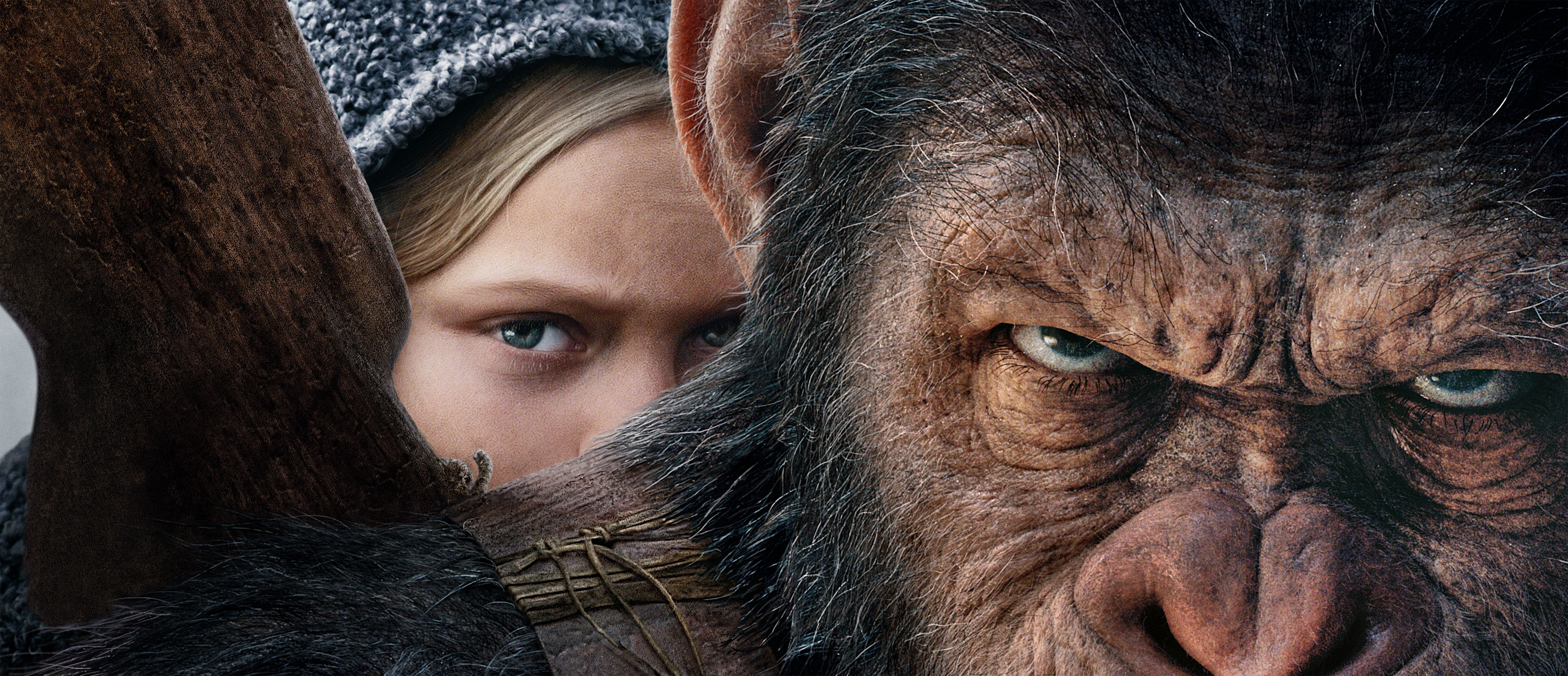 Caesar and Nova from War for the Planet of the Apes 4K HD Wallpaper