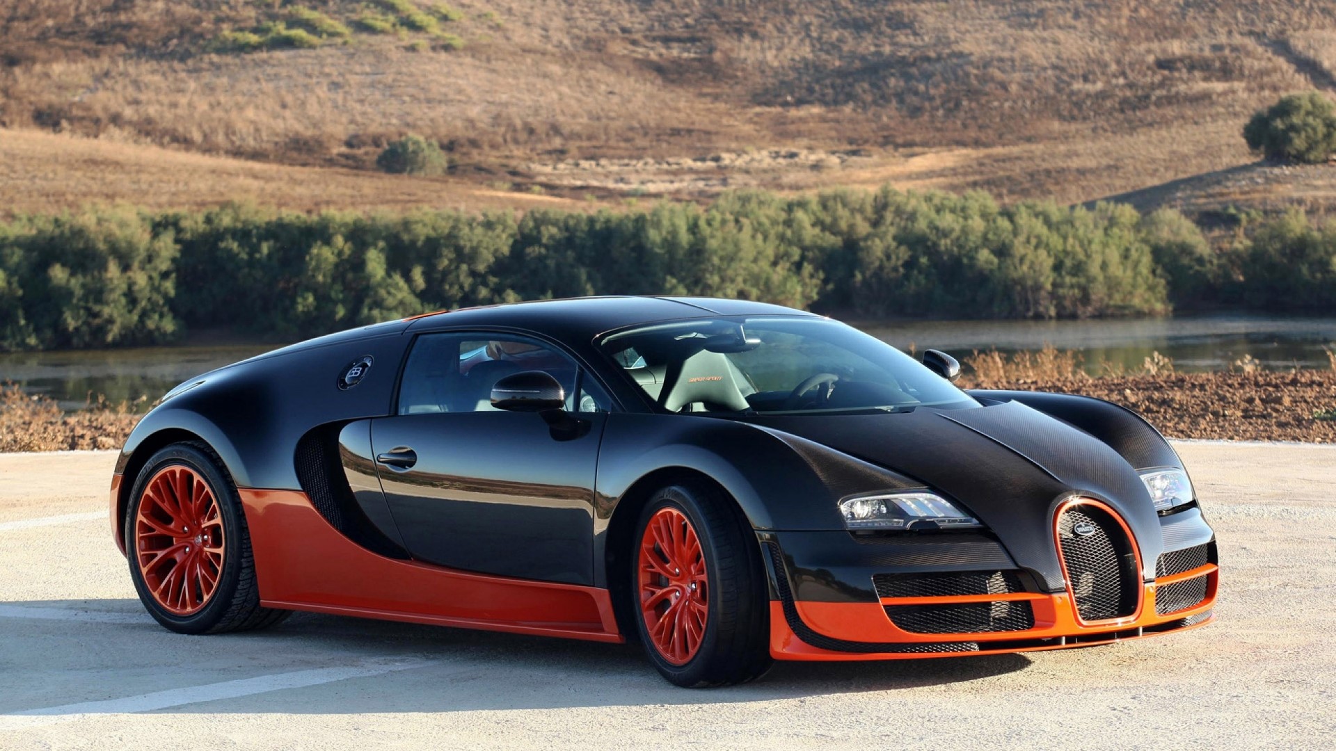 Bugatti Veyron in a landscape HD Wallpaper
