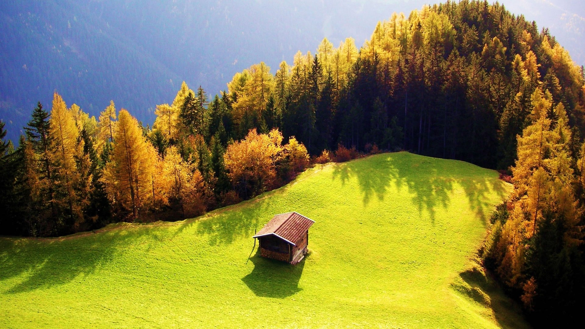 Autumn forest and meadow with a small cabin HD Wallpaper