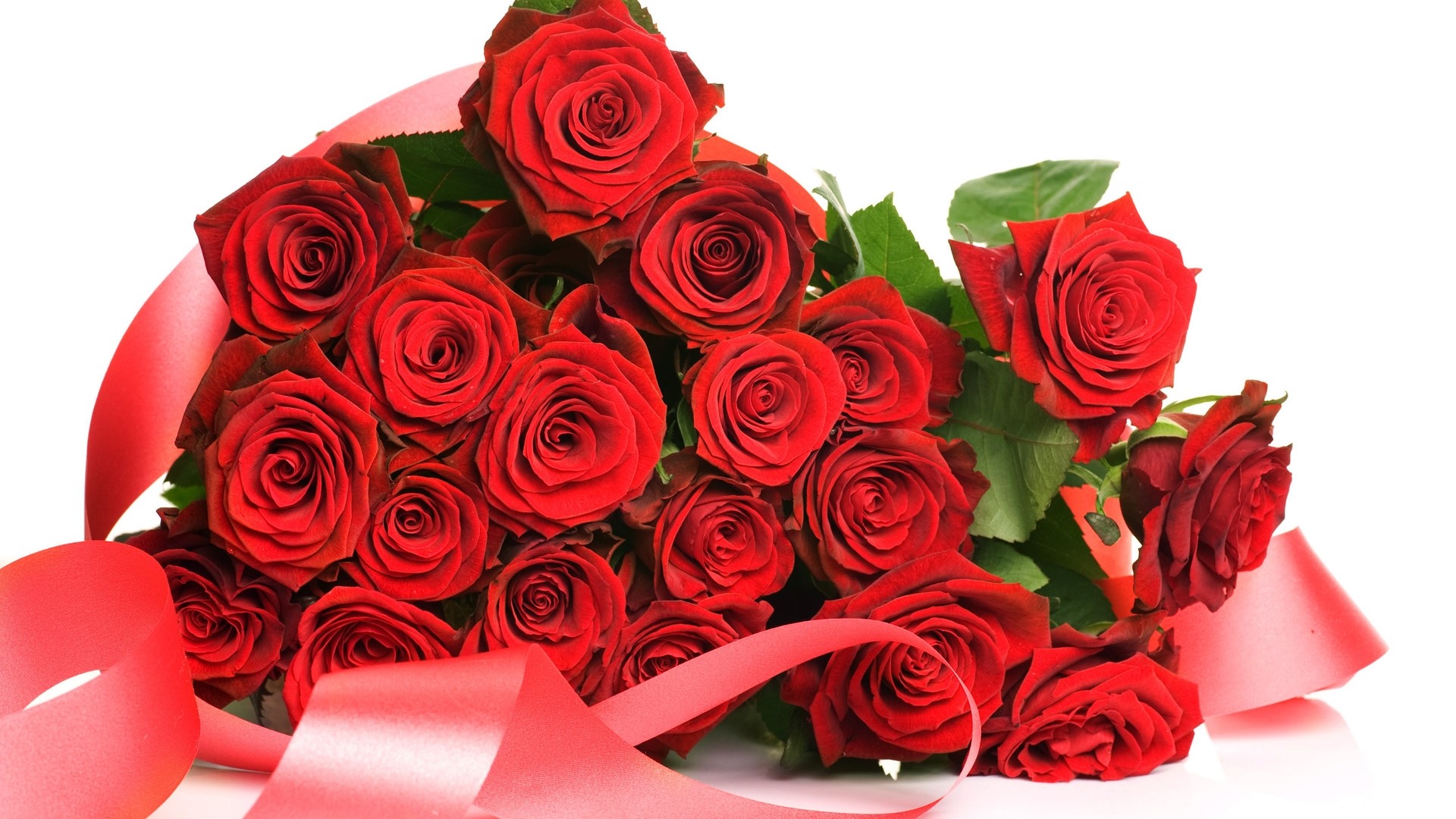 Bouquet of Red Roses with Red Ribbon HD Wallpaper