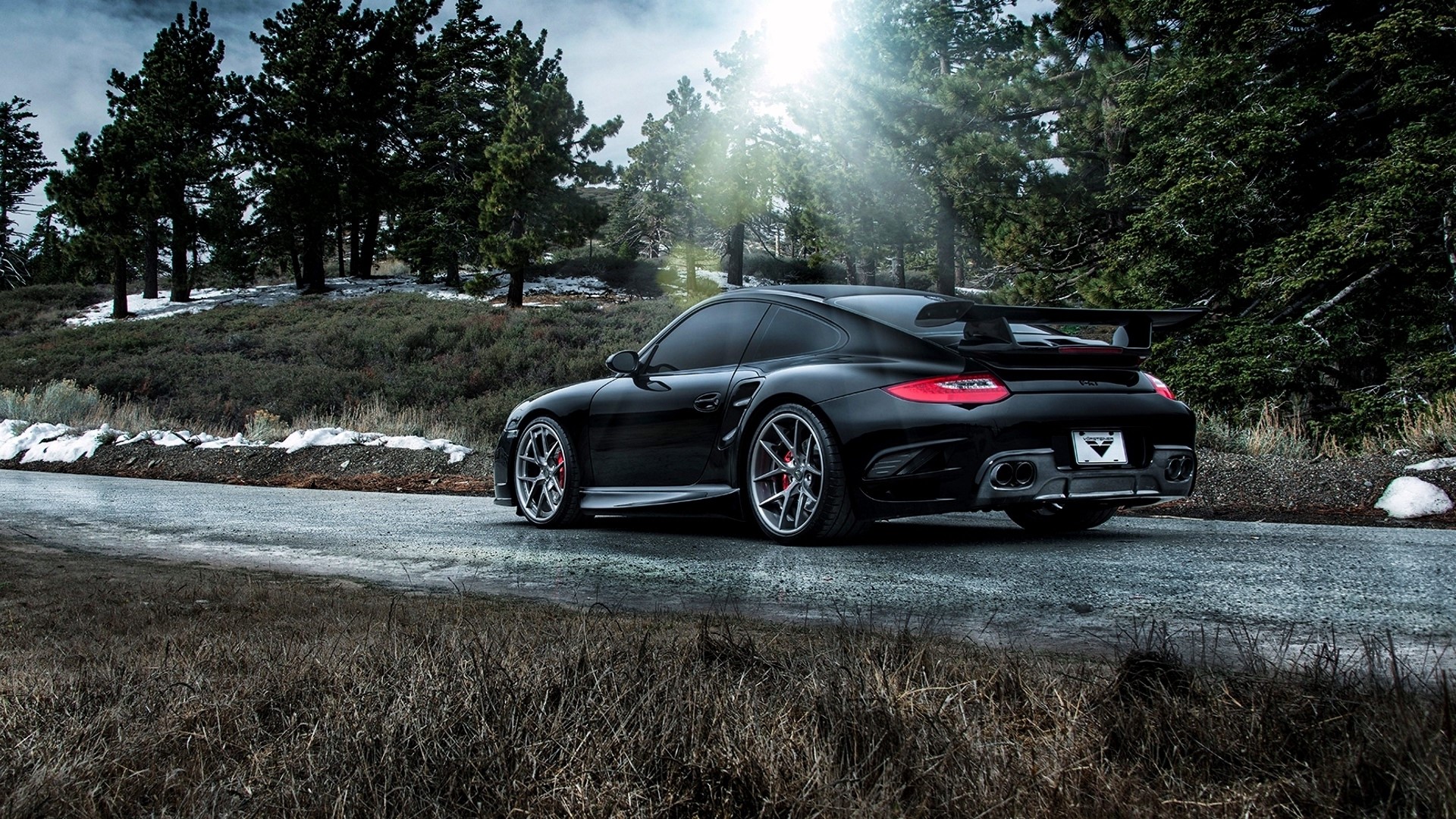 Black Porsche 911 Carrera on a Forest Road HD Wallpaper