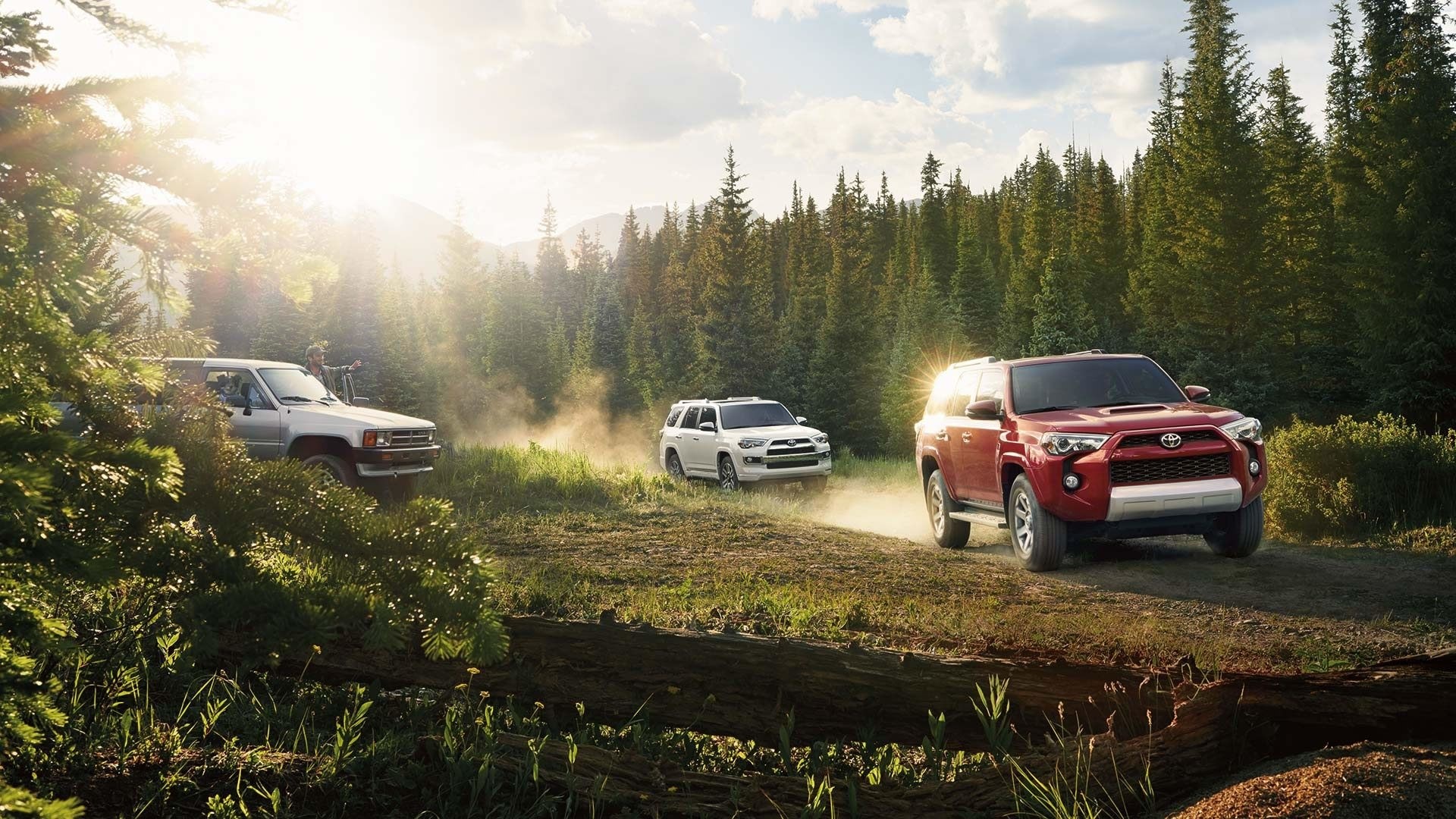 Toyota 4Runner SUVs driving on a dirt road in a forest HD Wallpaper