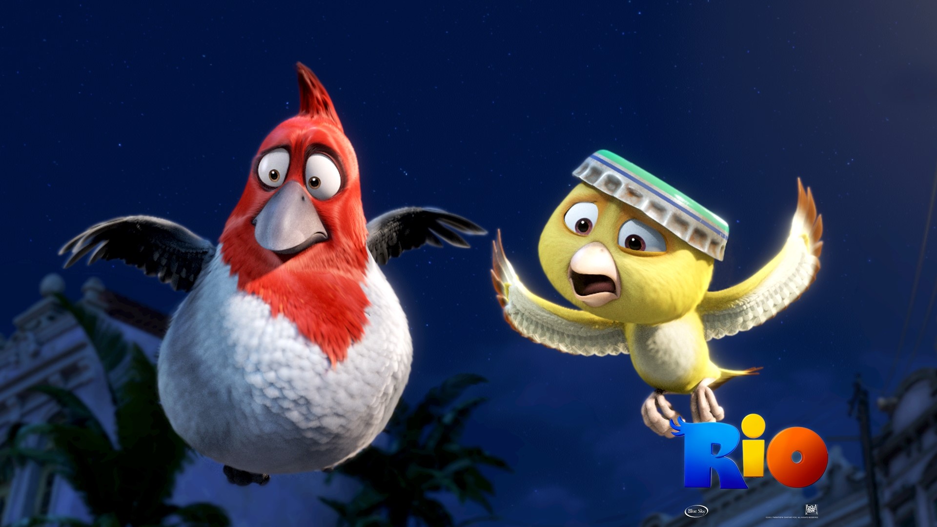 Two birds from the movie Rio flying at night HD Wallpaper
