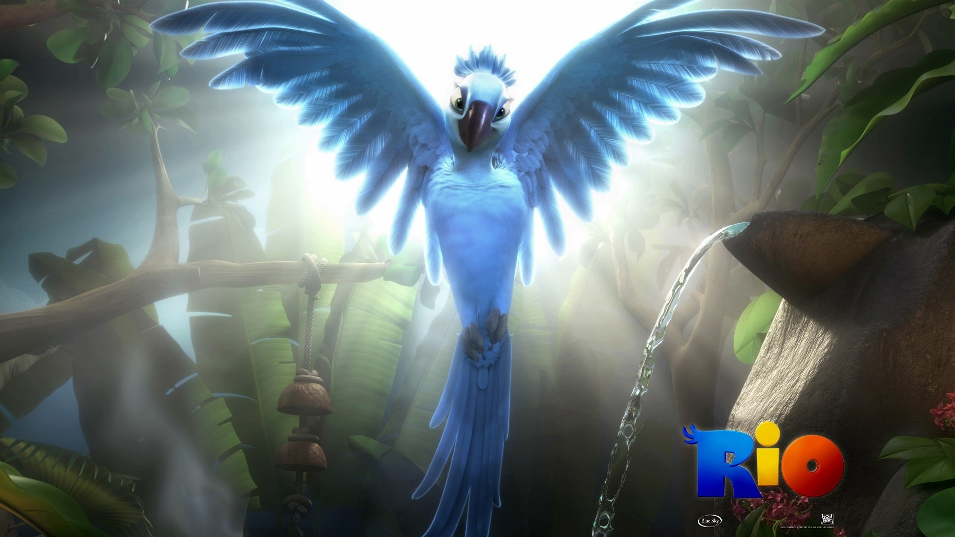 Blu from Rio HD Wallpaper
