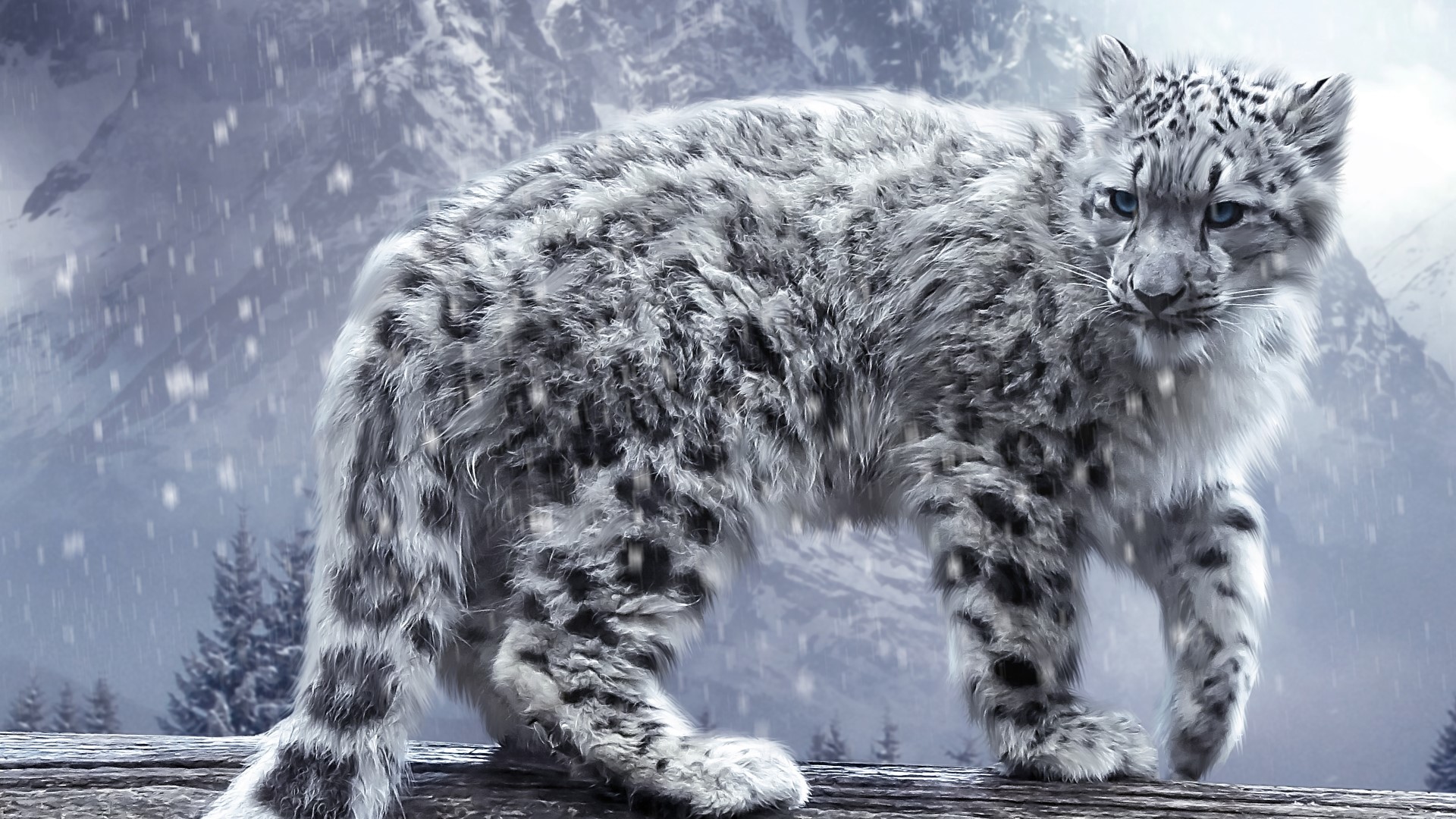 Snow Leopard in a Snowy Mountain Landscape HD Wallpaper