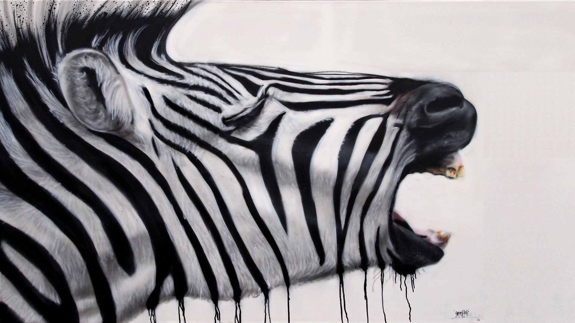 Black and White Zebra Art HD Wallpaper