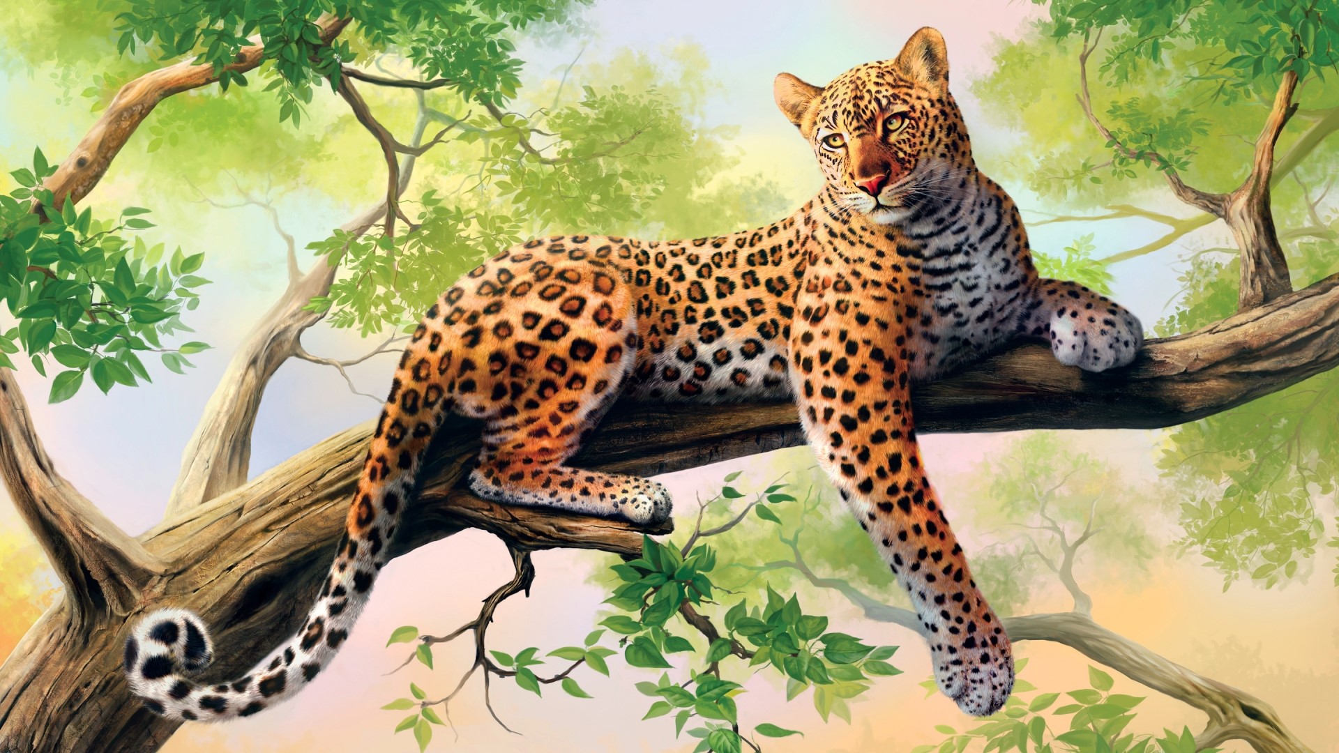 Leopard resting on a tree branch HD Wallpaper