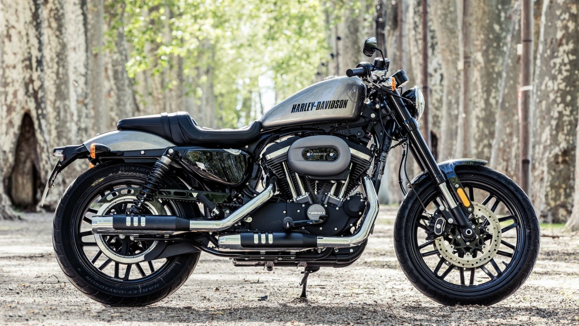 Harley-Davidson Roadster Motorcycle HD Wallpaper