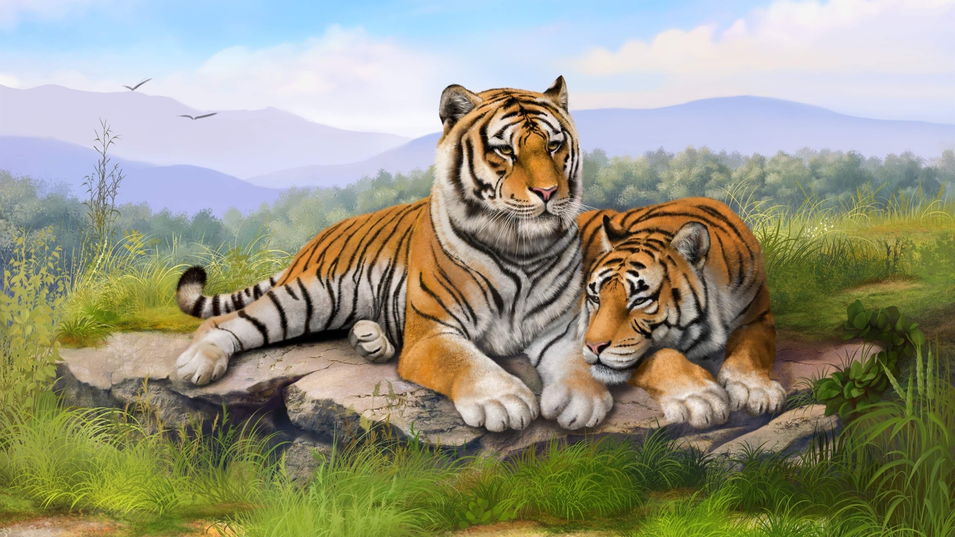 Two tigers resting on a rock HD Wallpaper