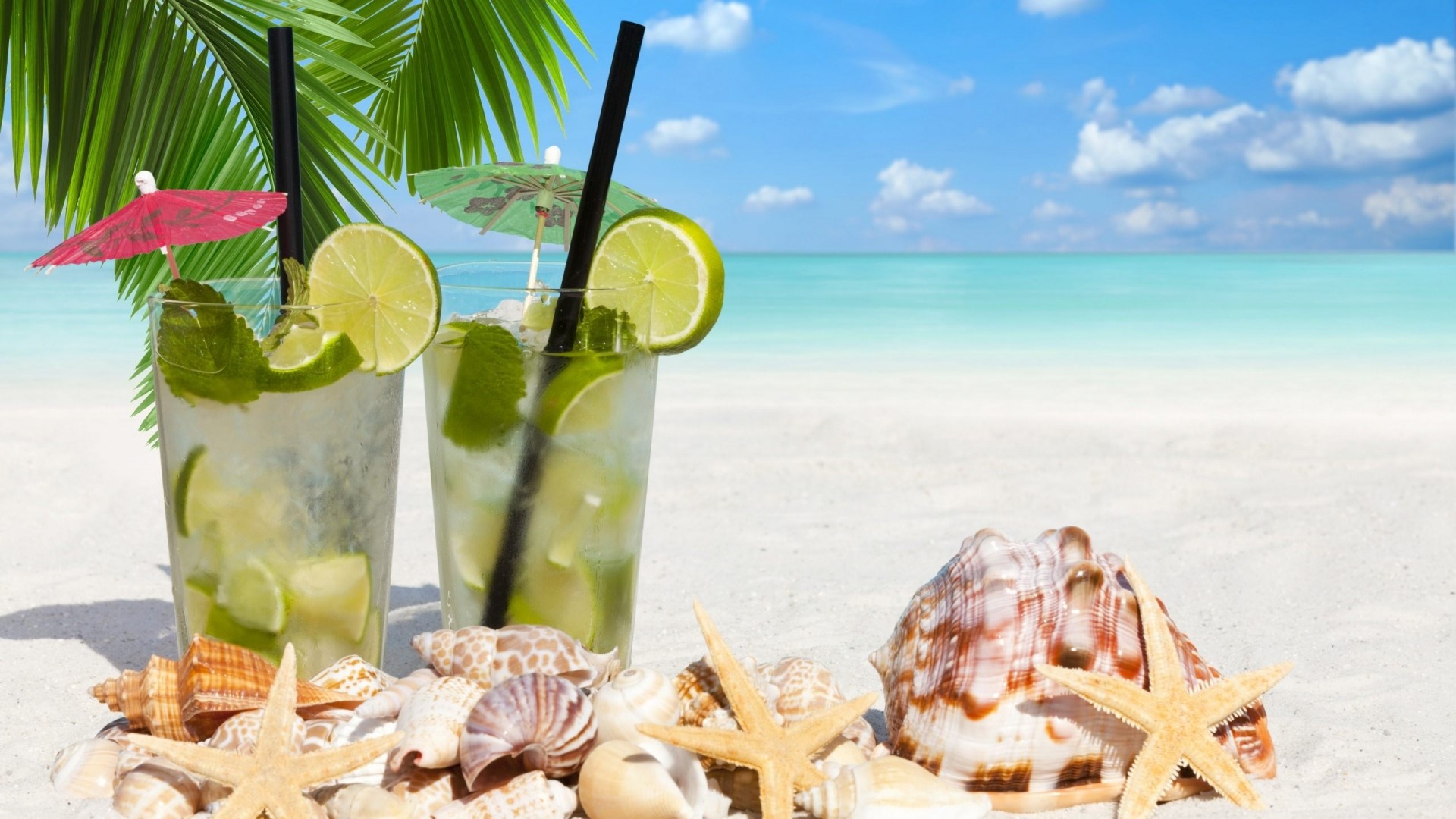 Tropical Drinks on a Beach with Seashells HD Wallpaper