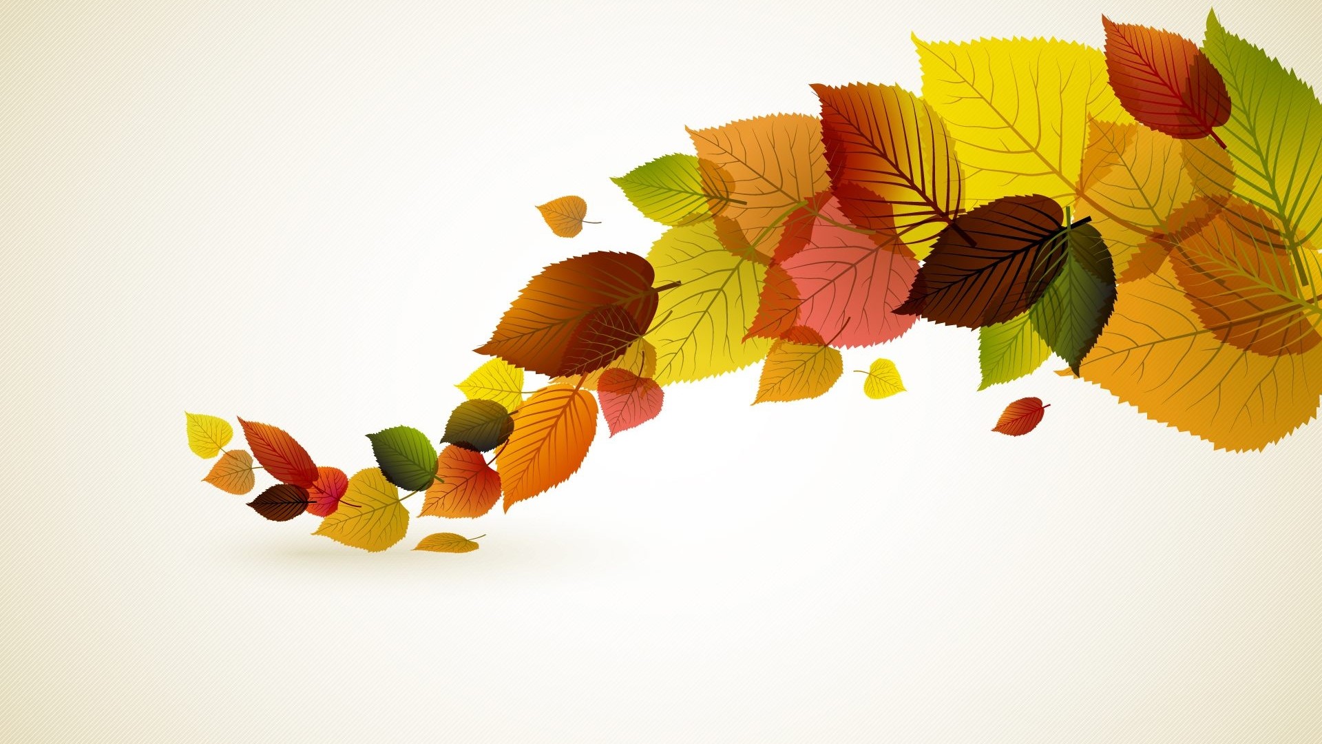 Autumn leaves vector illustration HD Wallpaper