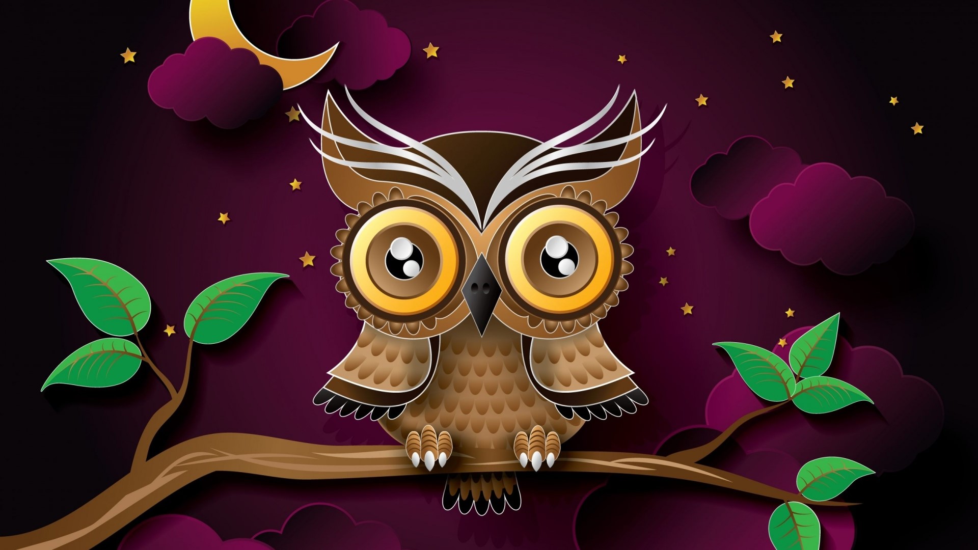 Cute Owl Sitting on a Branch at Night HD Wallpaper