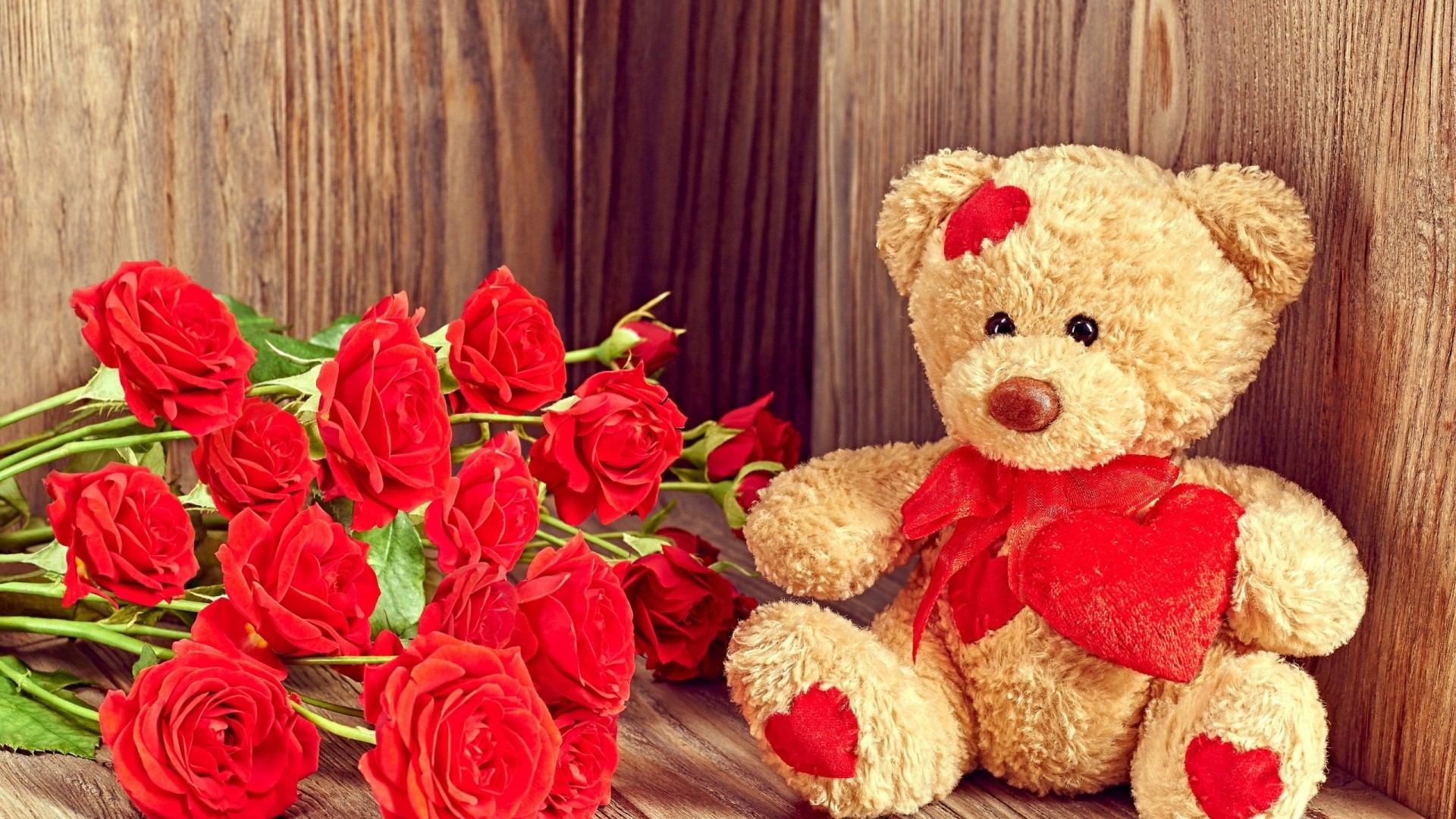 Teddy Bear with Red Roses HD Wallpaper