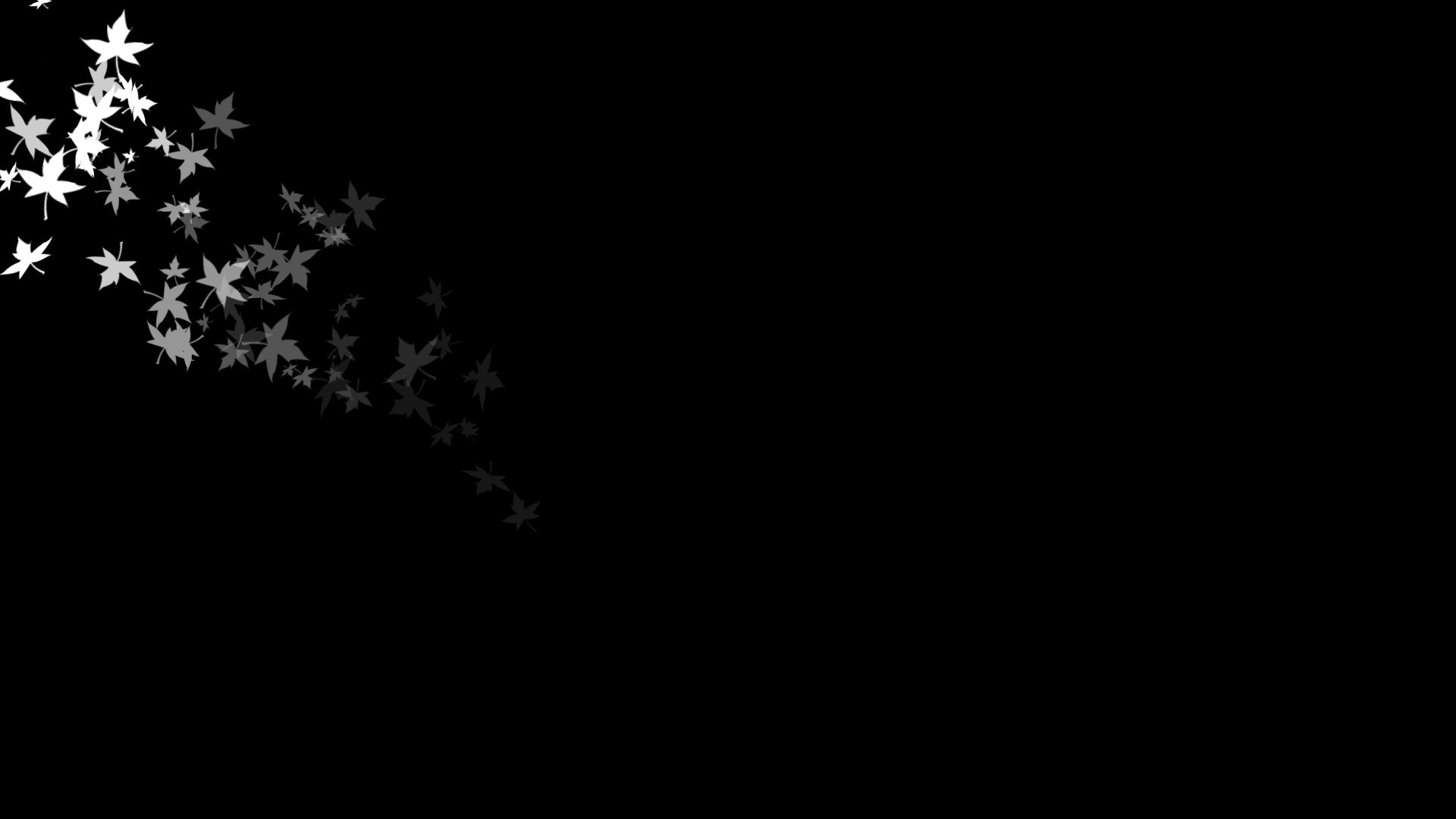 White leaves falling on black background HD Wallpaper