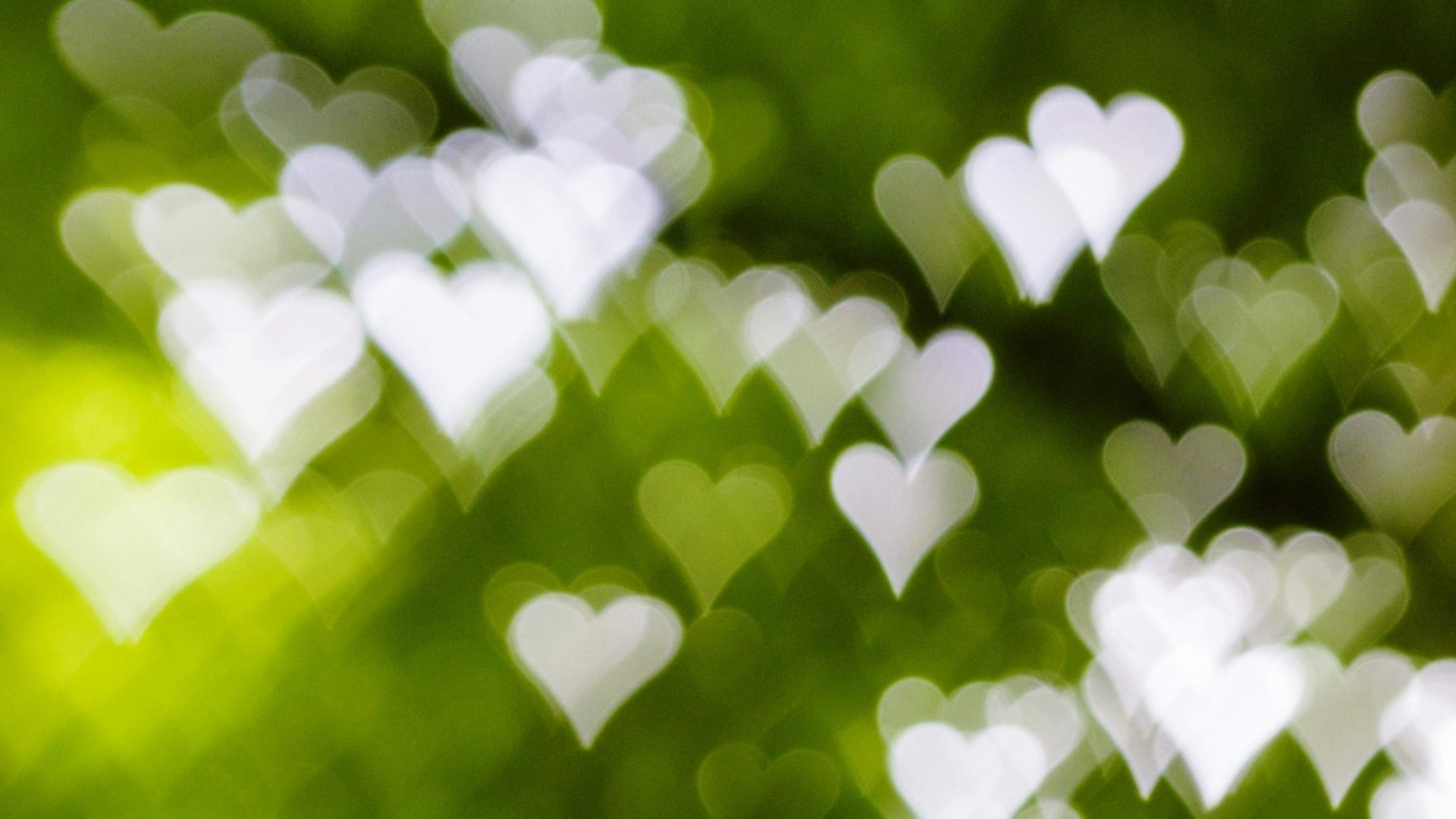 Heart Bokeh Lights on Green Background HD Wallpaper