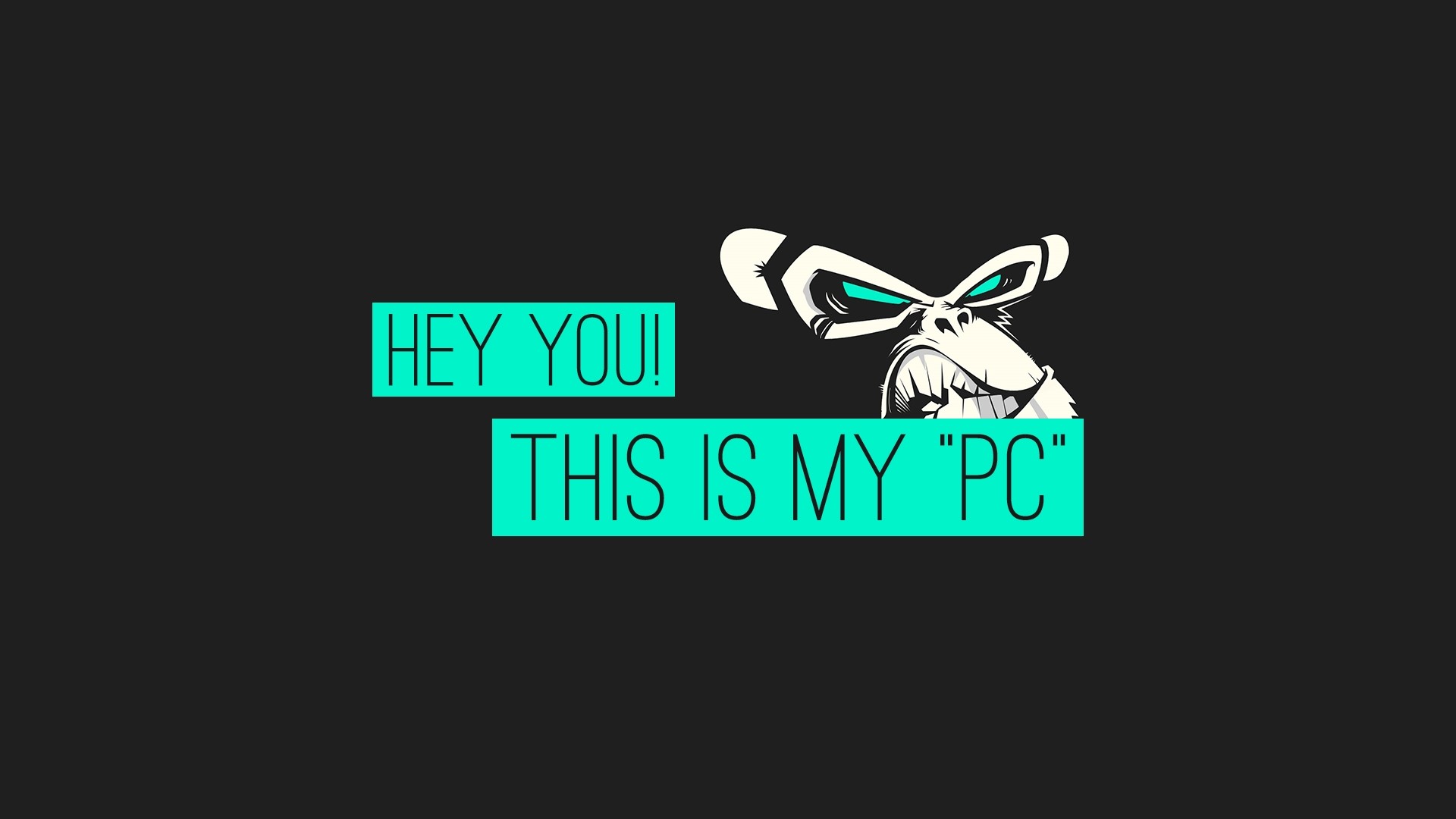 Monkey "This Is My PC" Warning HD Wallpaper