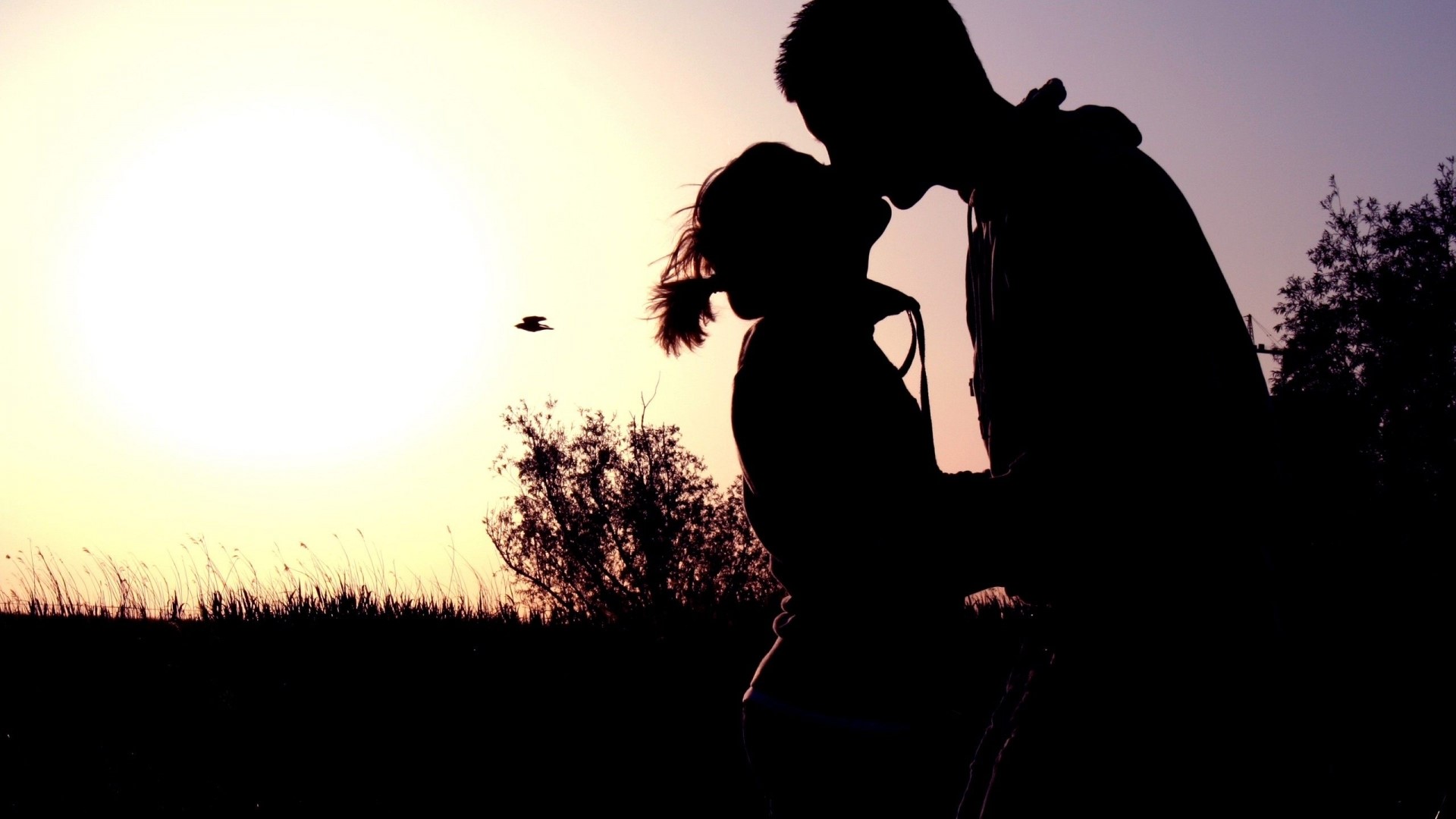 Couple kissing at sunset with a bird flying HD Wallpaper