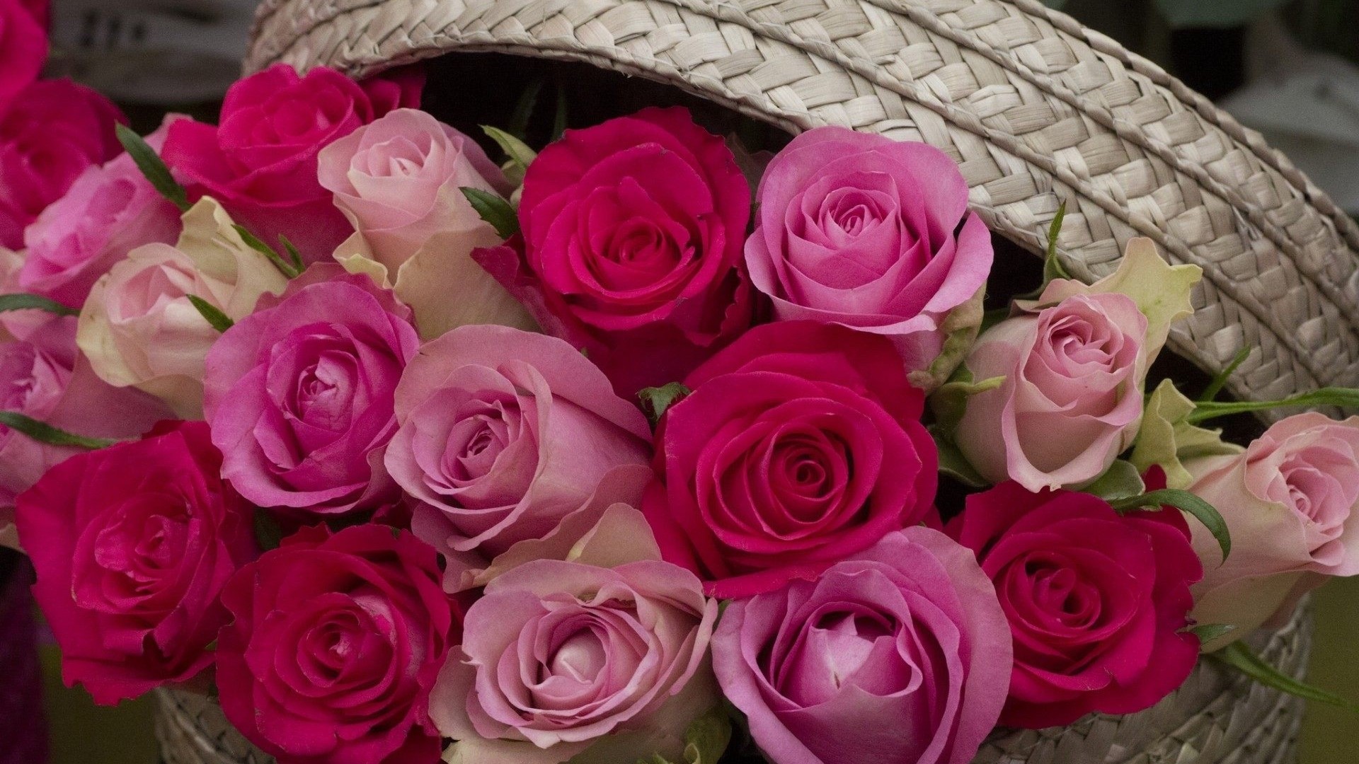 Pink and Red Roses in a Basket HD Wallpaper