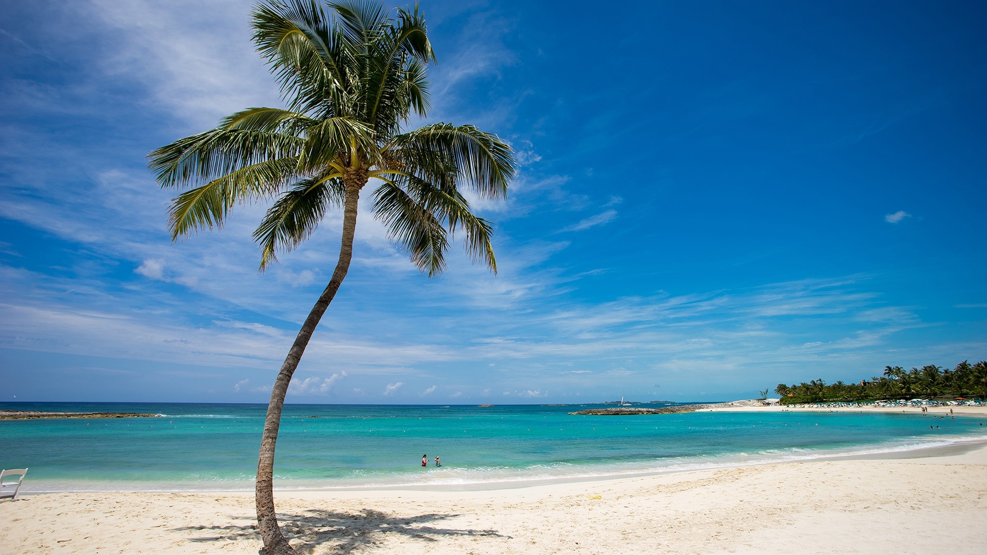 Tropical island beach with palm tree and turquoise water HD Wallpaper