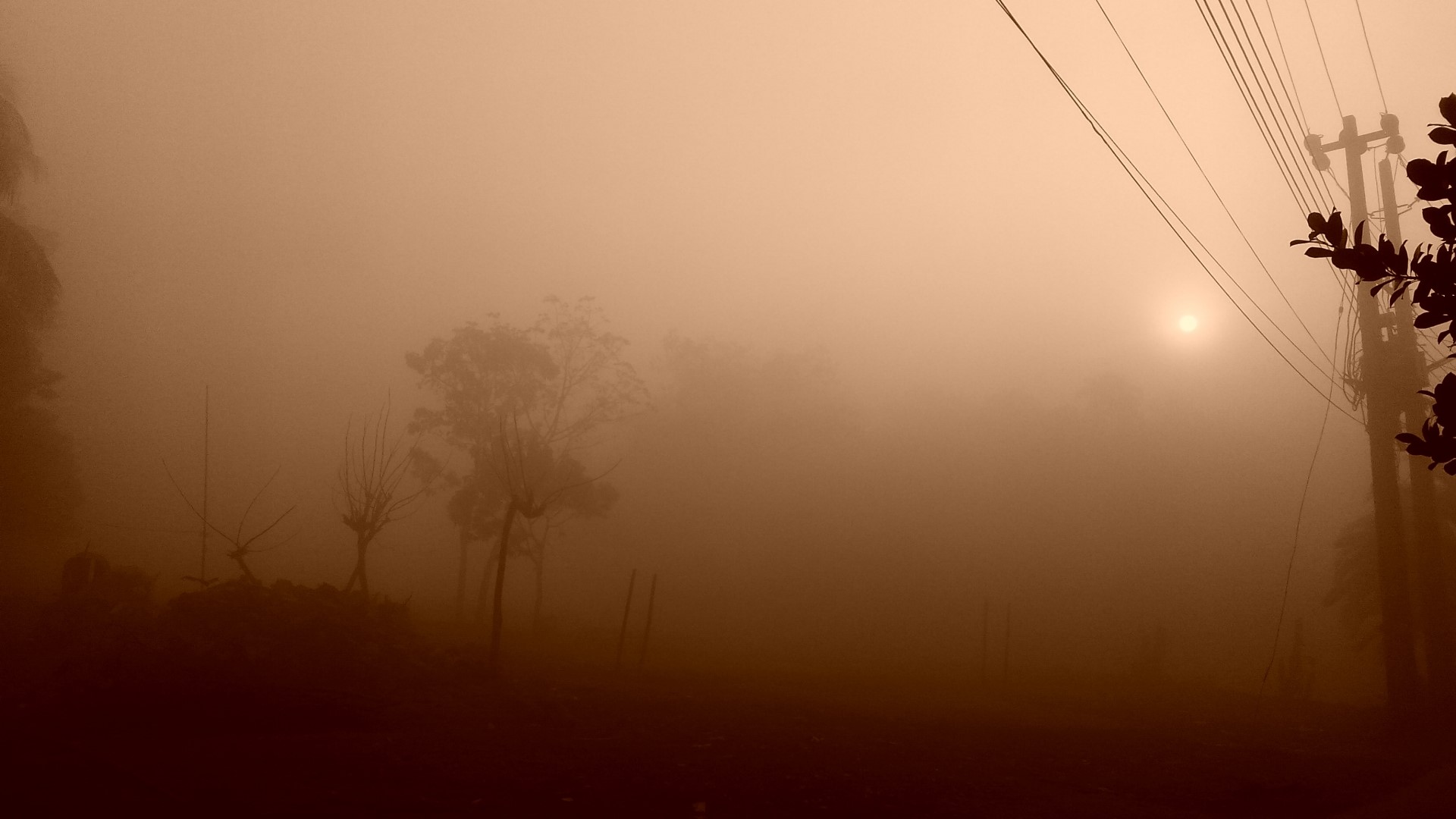 Foggy morning with electricity pole and sun HD Wallpaper