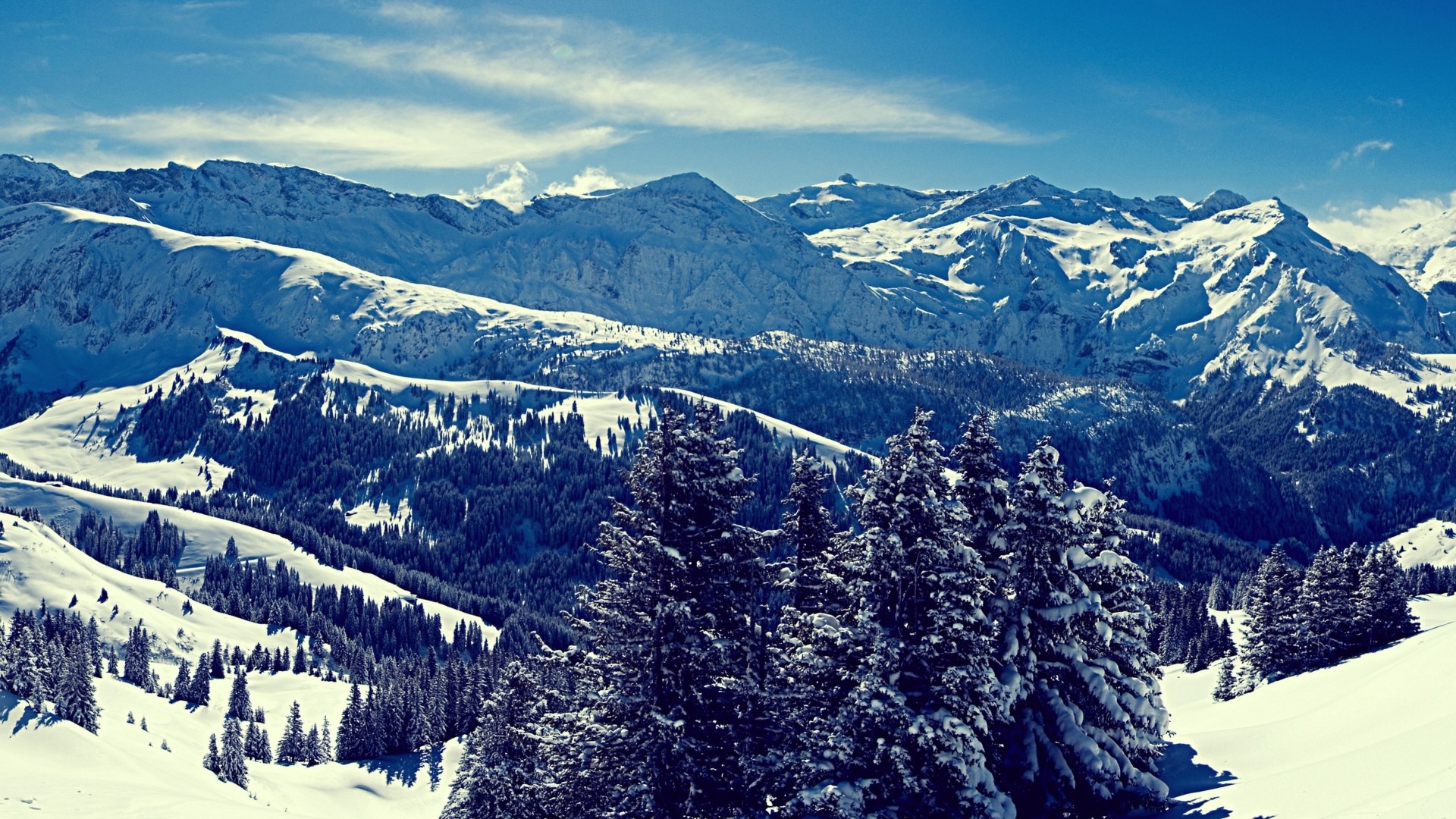 Snowy Mountains and Forest Landscape HD Wallpaper