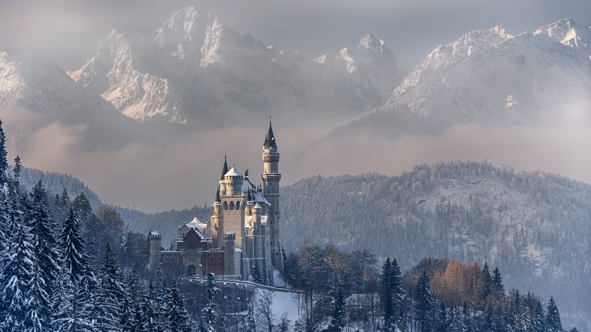 Neuschwanstein Castle in Winter Mountains HD Wallpaper