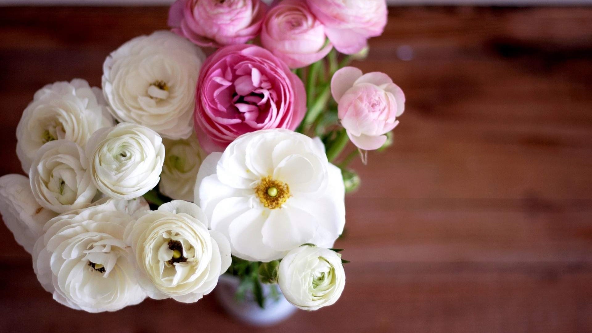 Ranunculus Flower Bouquet HD Wallpaper