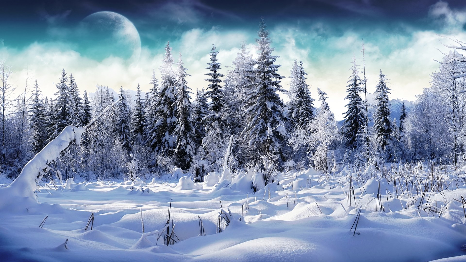 Winter forest with a large moon HD Wallpaper