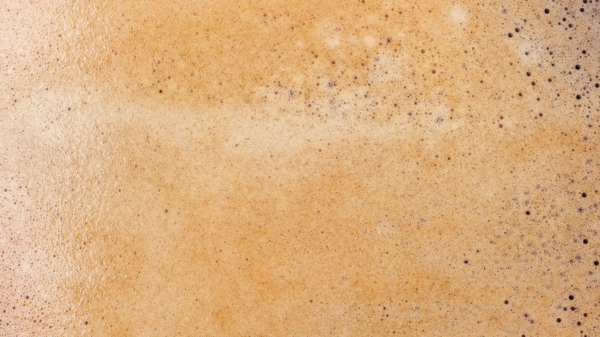 Close-up of Beer Foam Texture HD Wallpaper