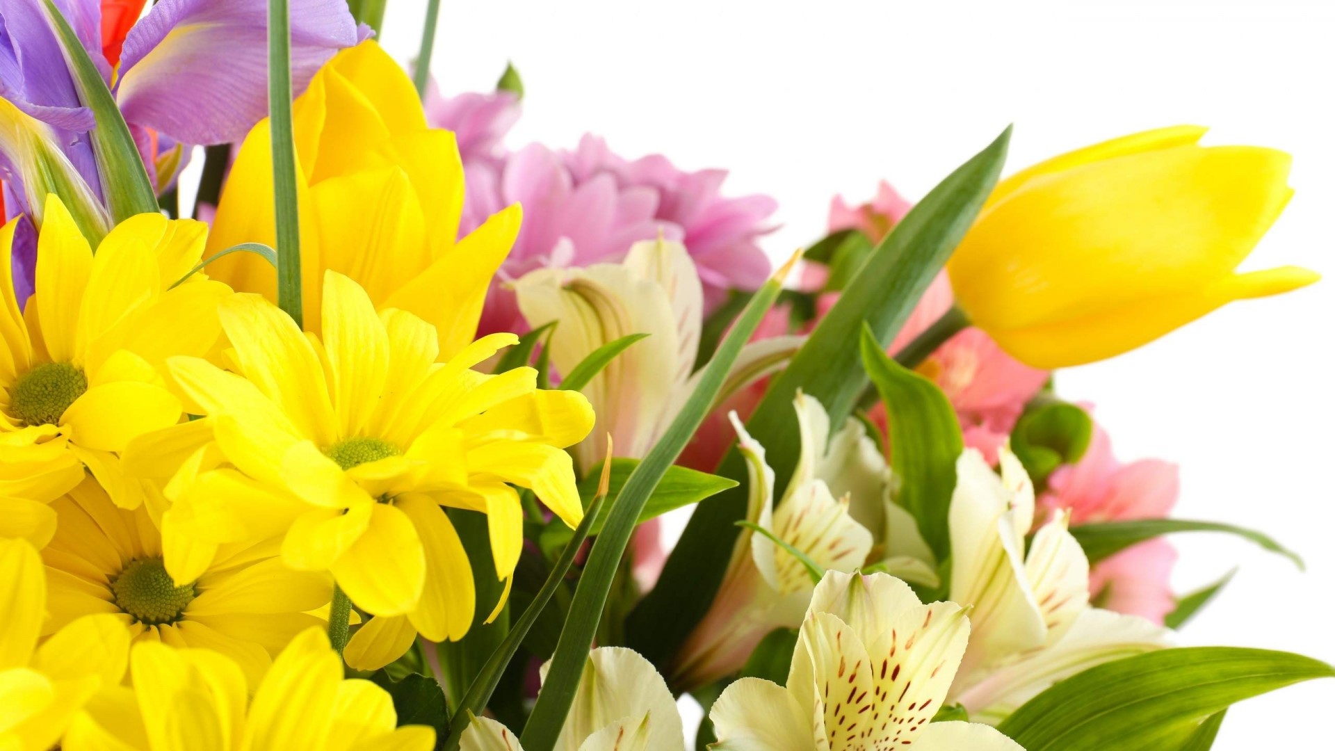 Mum Flowers and Tulips HD Wallpaper